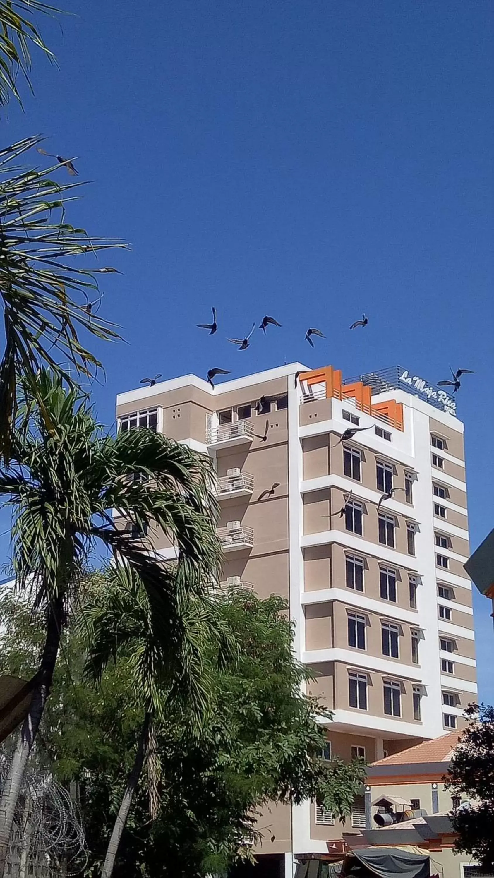 Property building in La Maja Rica Hotel Property building in La Maja Rica Hotel