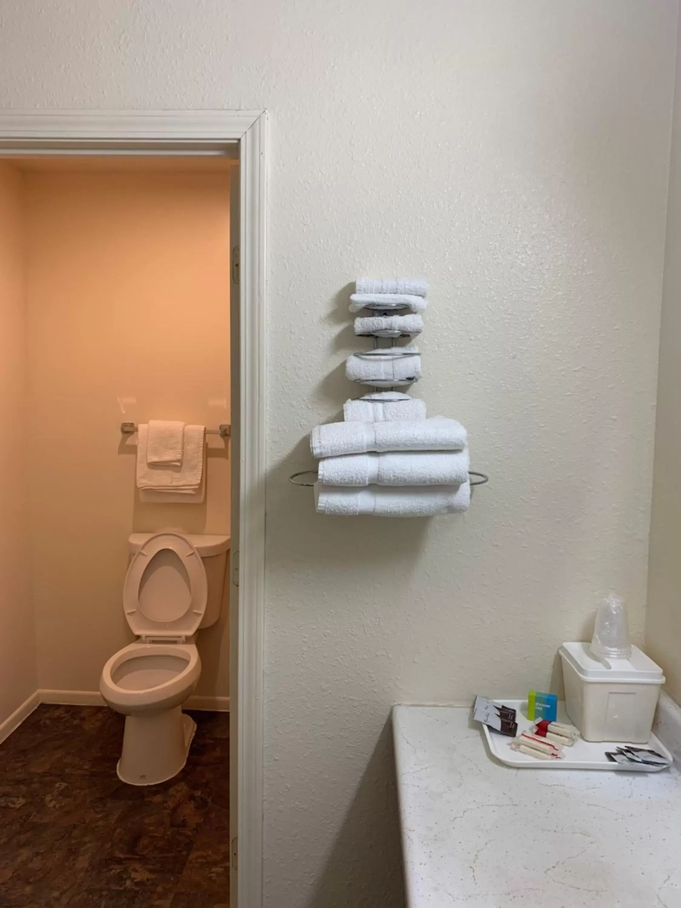 Toilet, Bathroom in Economy Inn