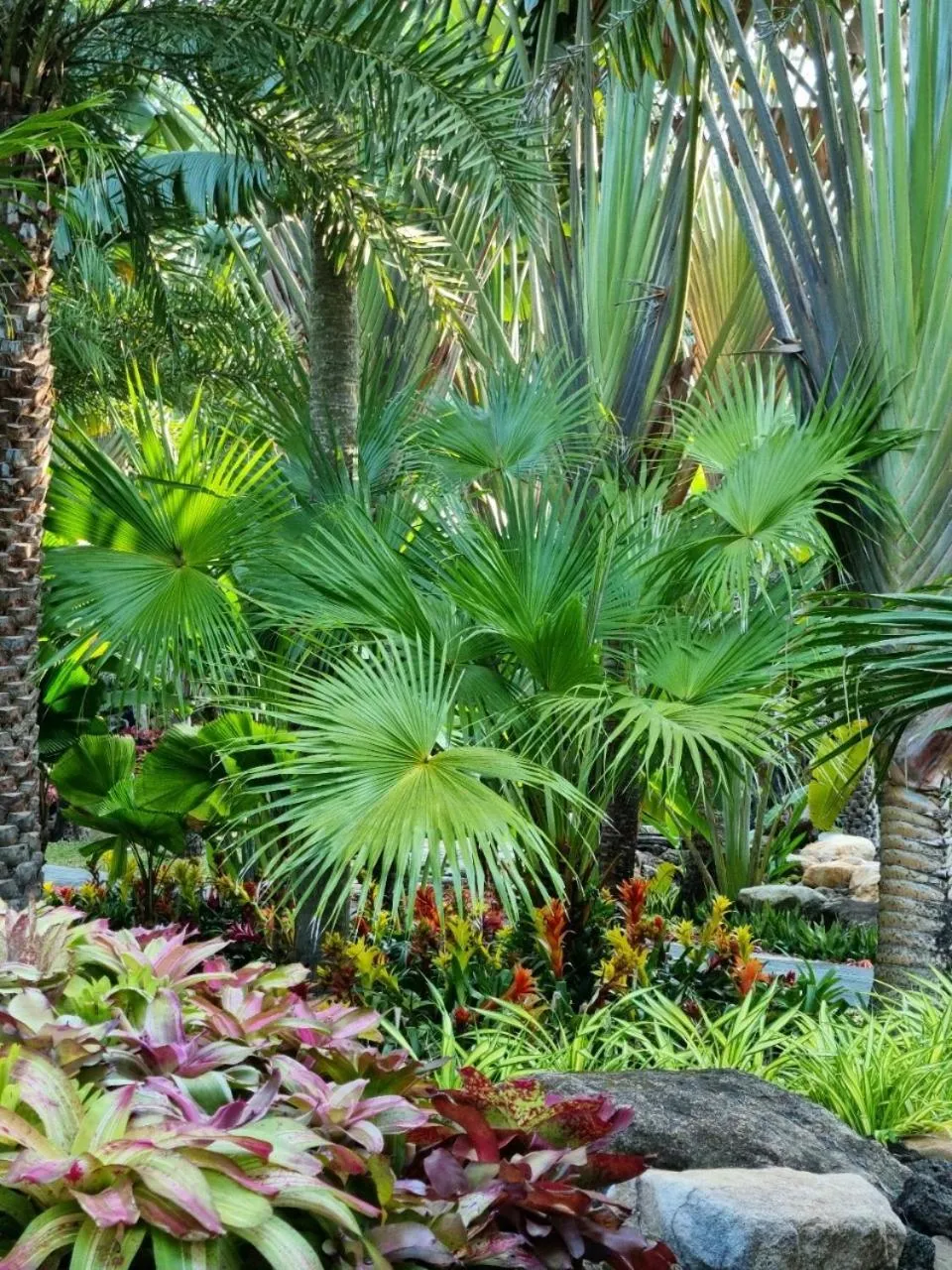 Garden in Coco Palm Beach Resort