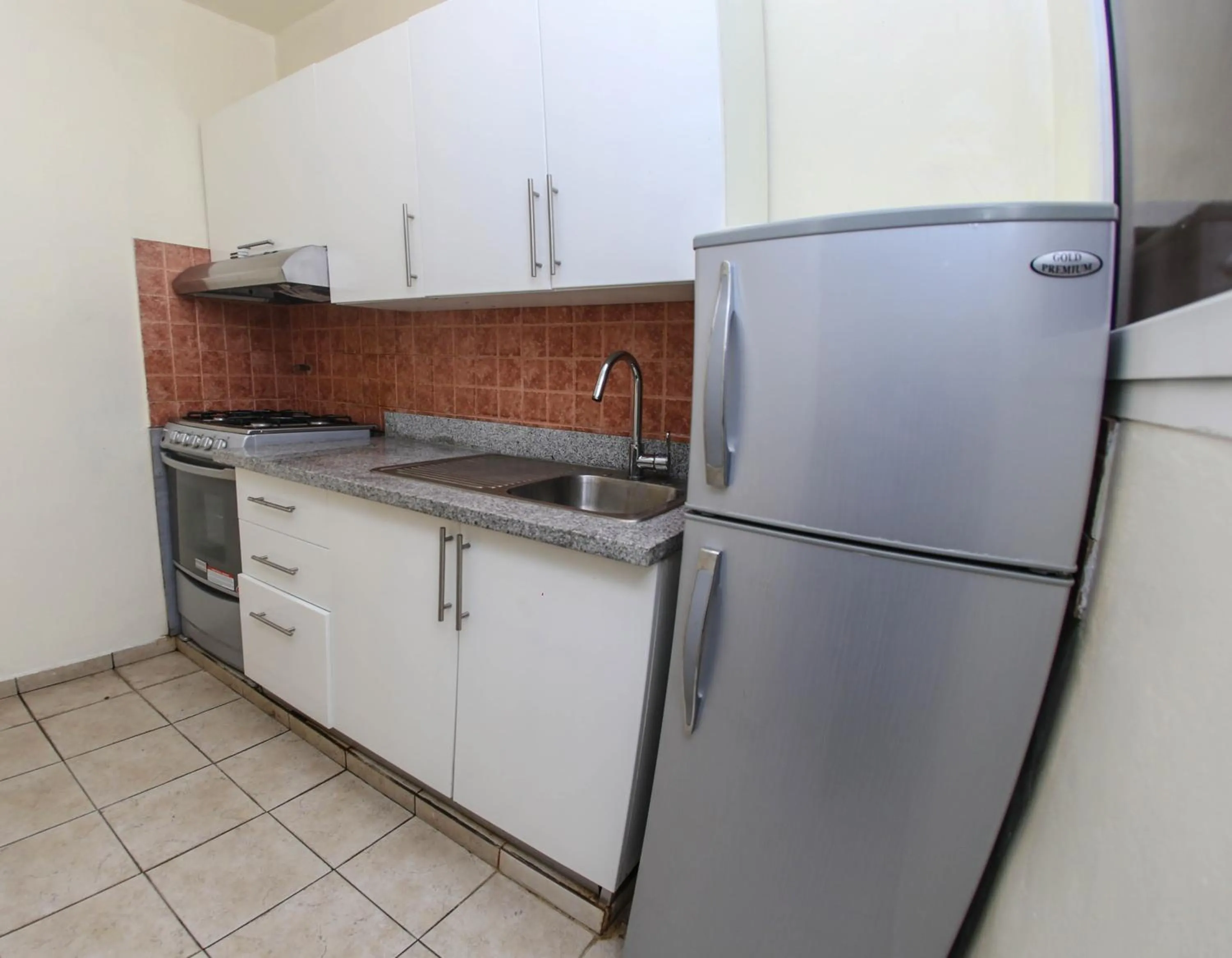 Kitchen or kitchenette in Acuarium Suite Resort