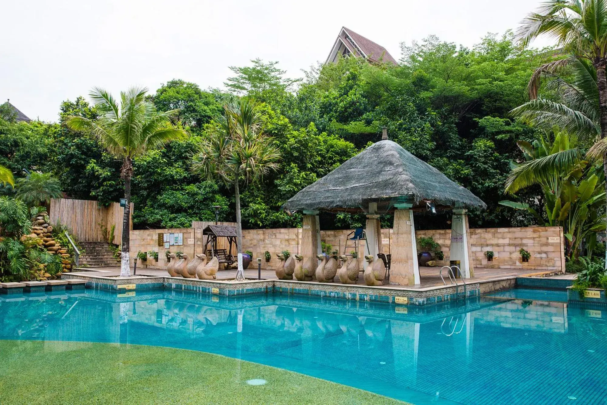 Pool view, Swimming Pool in Dongguang Richwood Garden Hotel