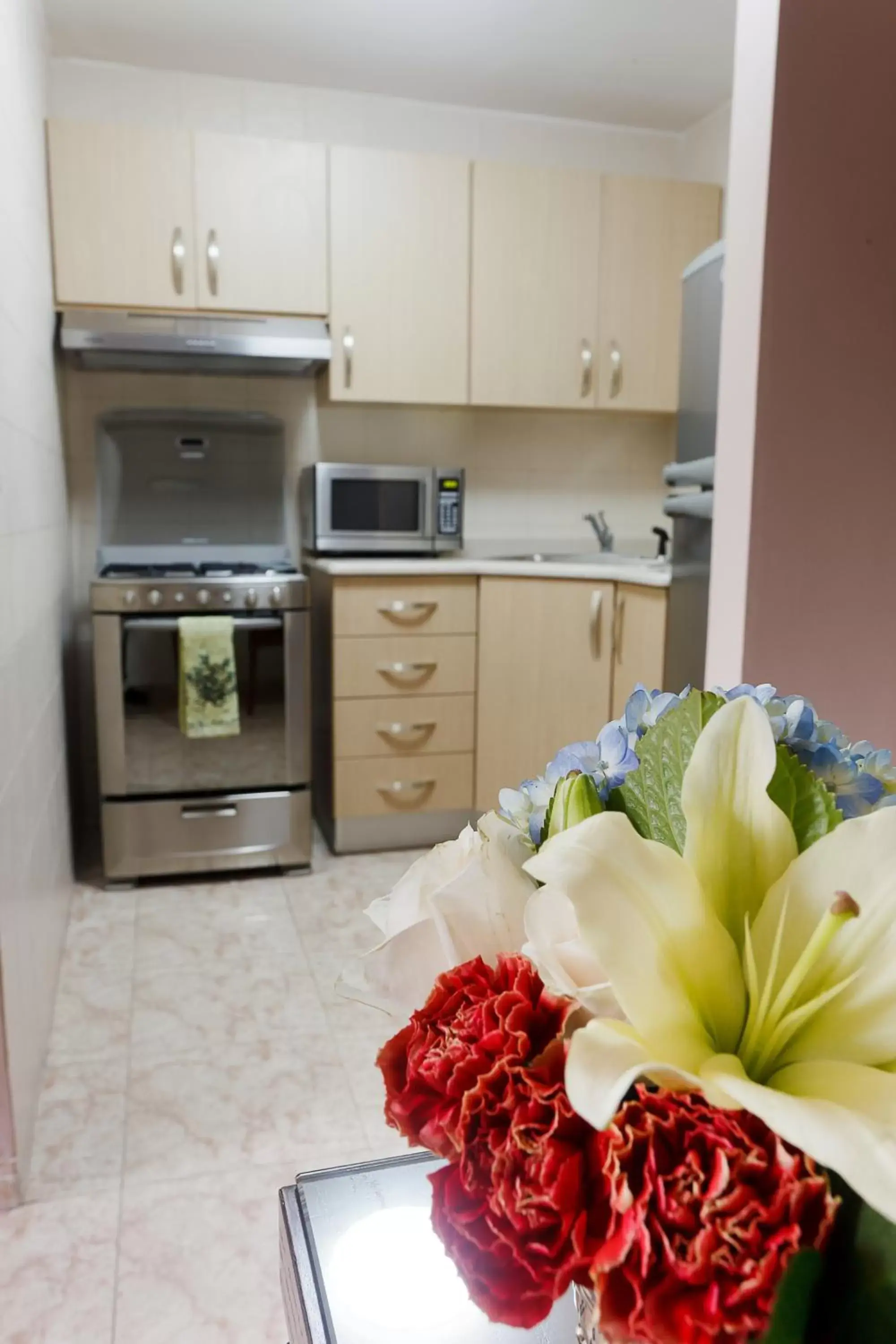 Kitchen or kitchenette, Kitchen/Kitchenette in Hotel Coral Suites