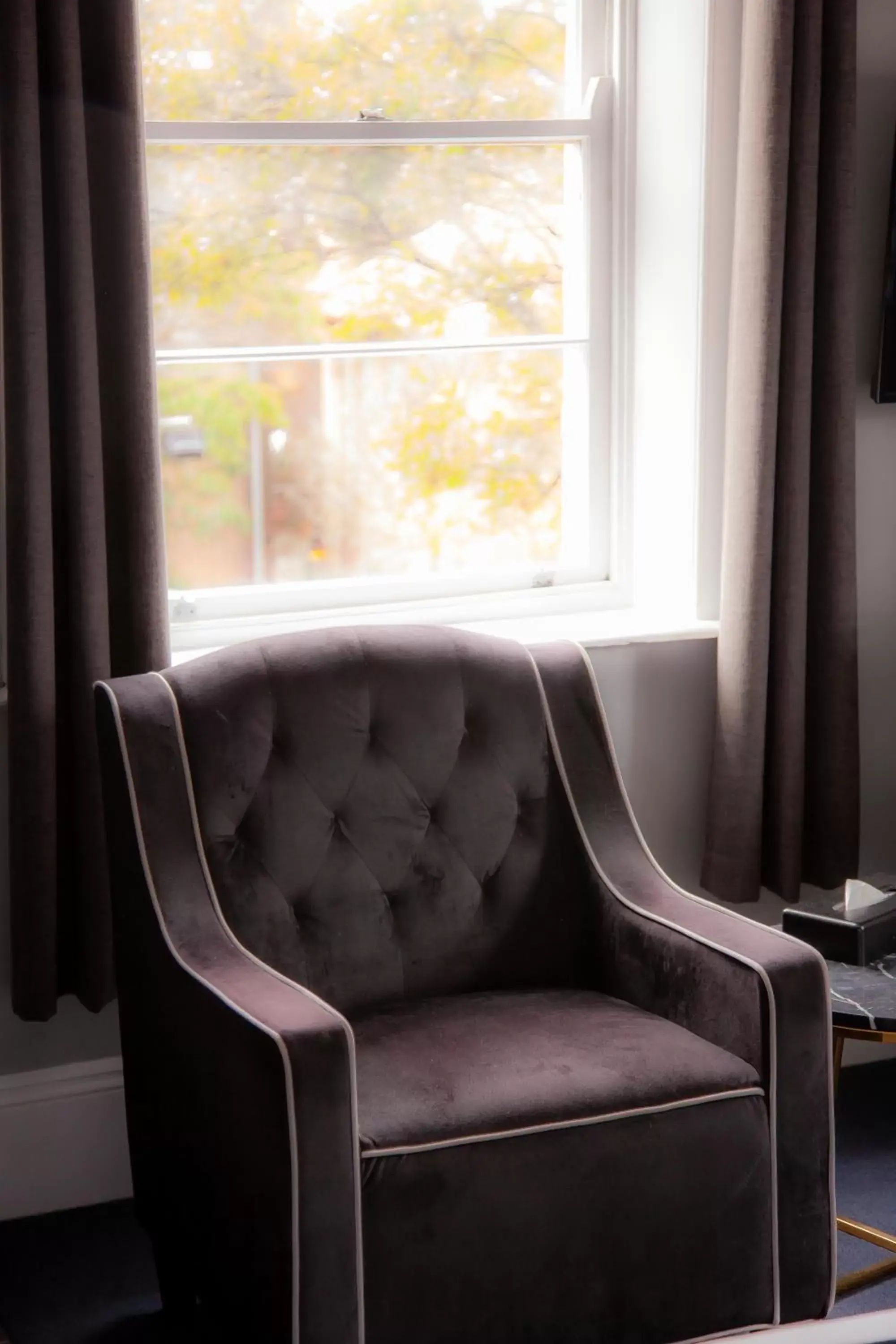 Seating Area in Bayswater Boutique Lodge