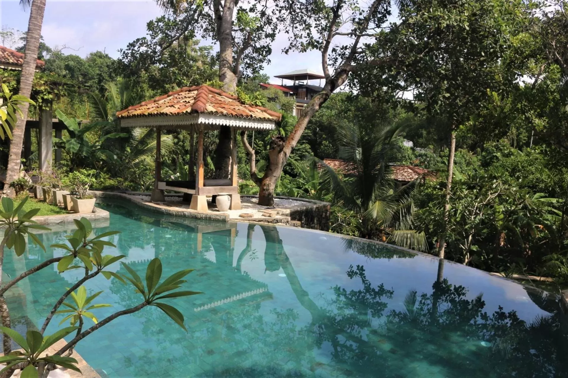 Swimming pool in The Spice House Mirissa