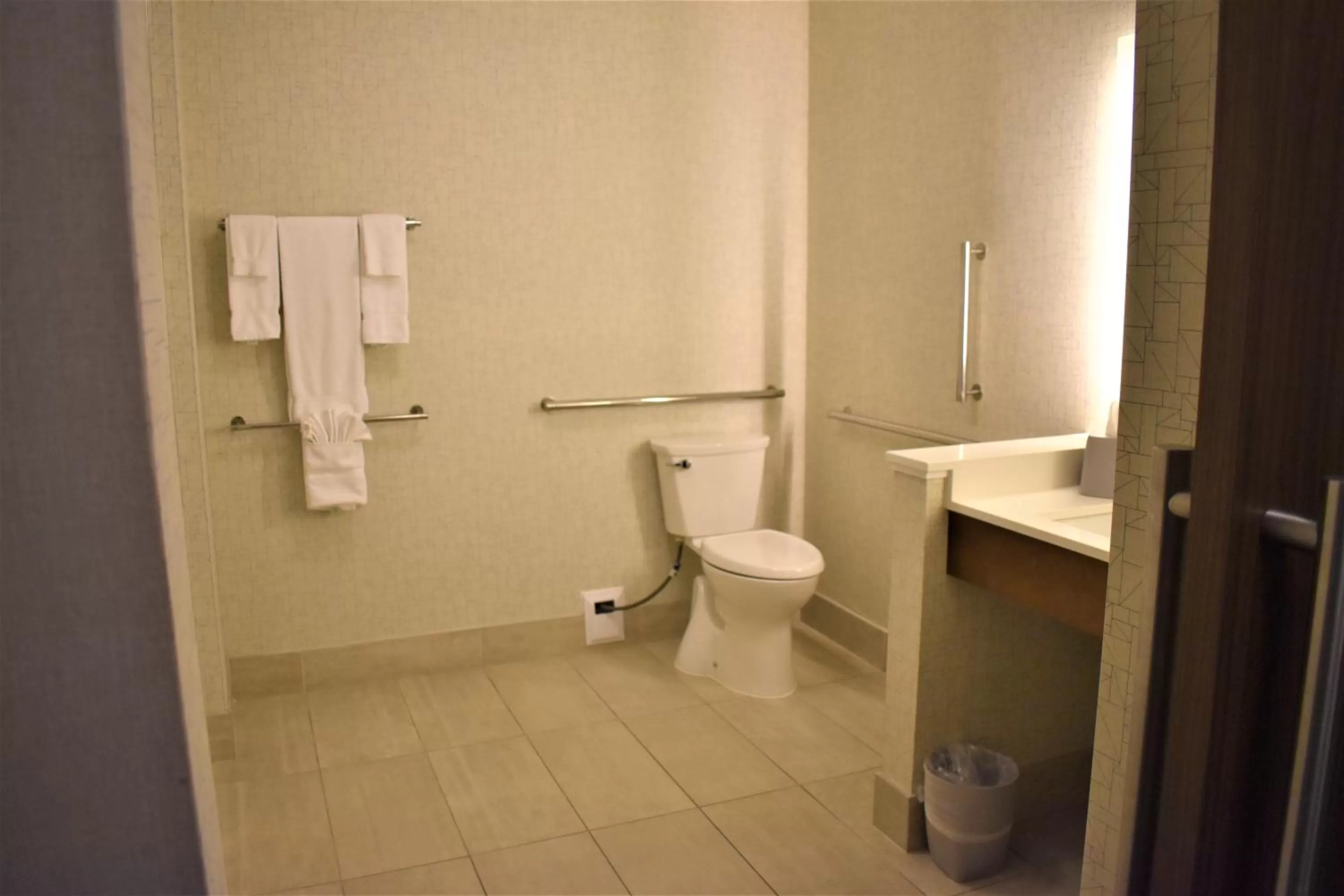 Toilet in Holiday Inn Express & Suites - Gettysburg by IHG