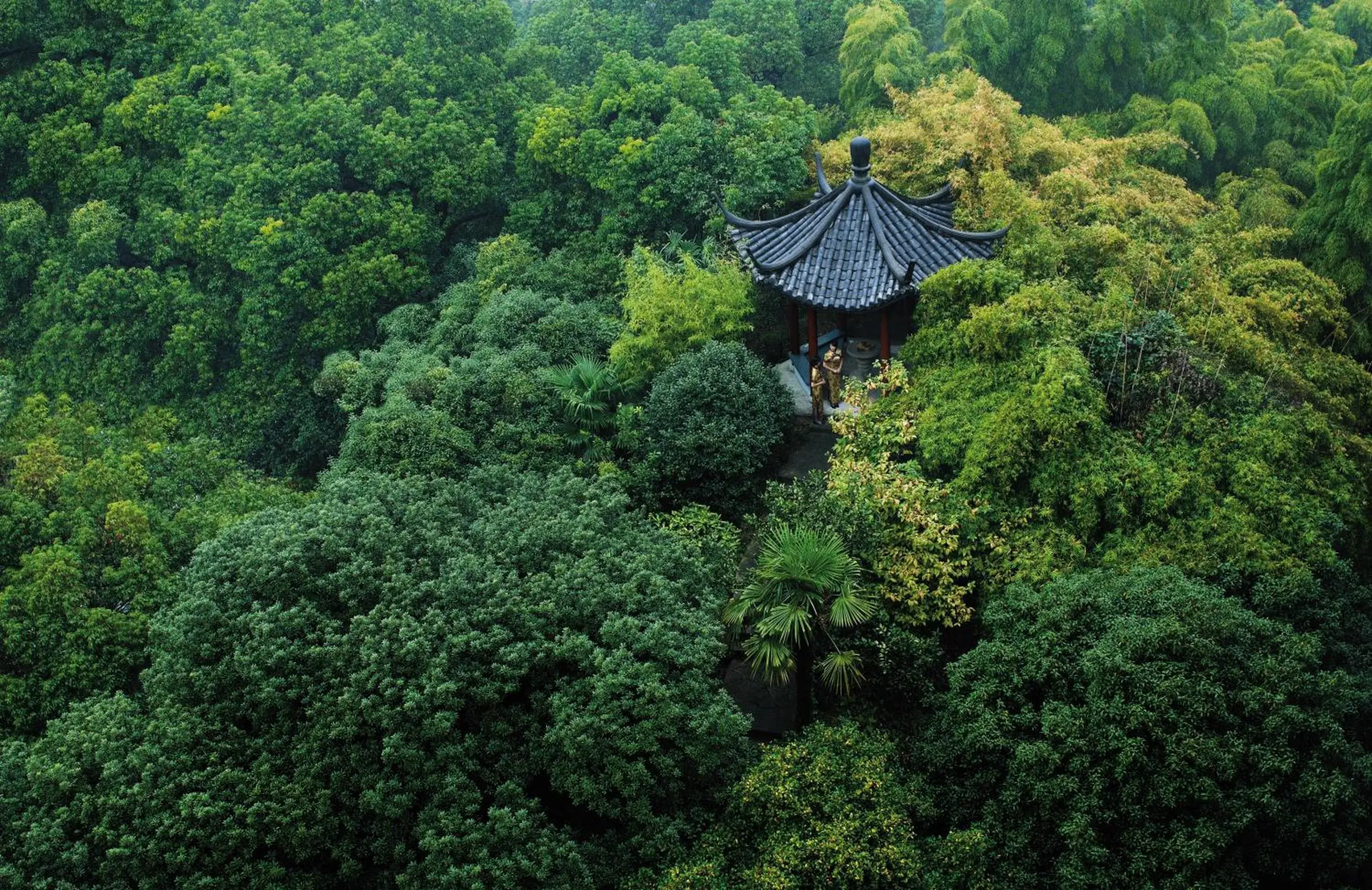 View (from property/room), Bird's-eye View in Shangri-La Hotel, Hangzhou