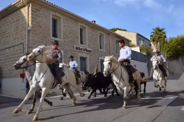 Horseback Riding in Hôtel O’Banel