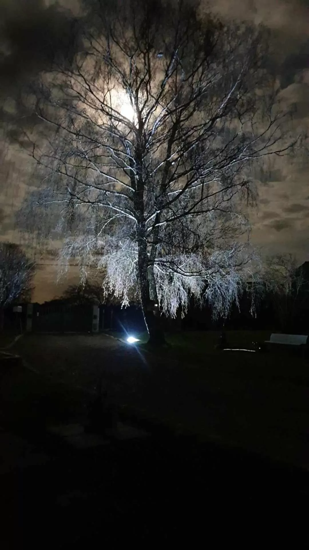 Garden in La Chaumière