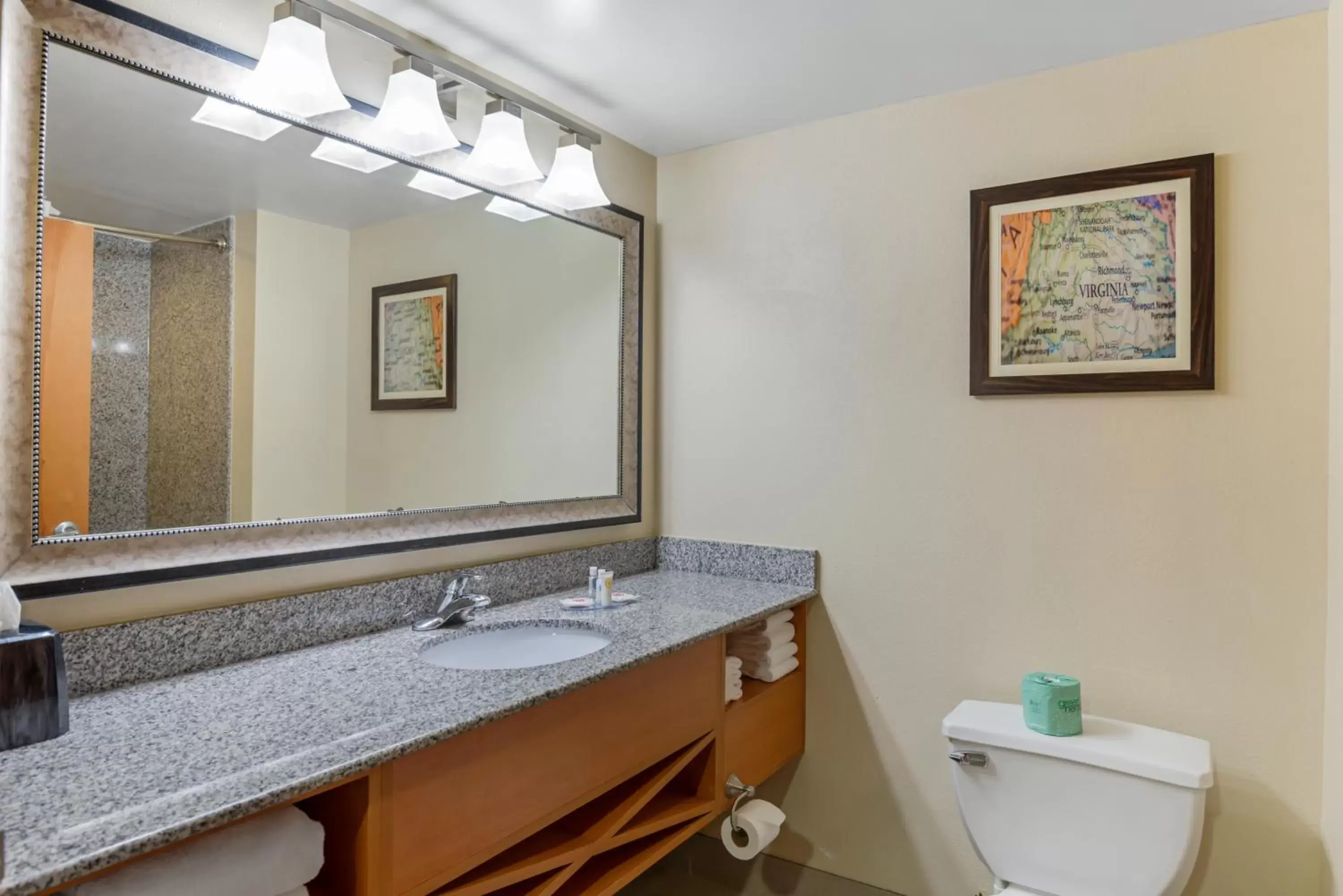 Bathroom in Comfort Suites at Virginia Center Commons