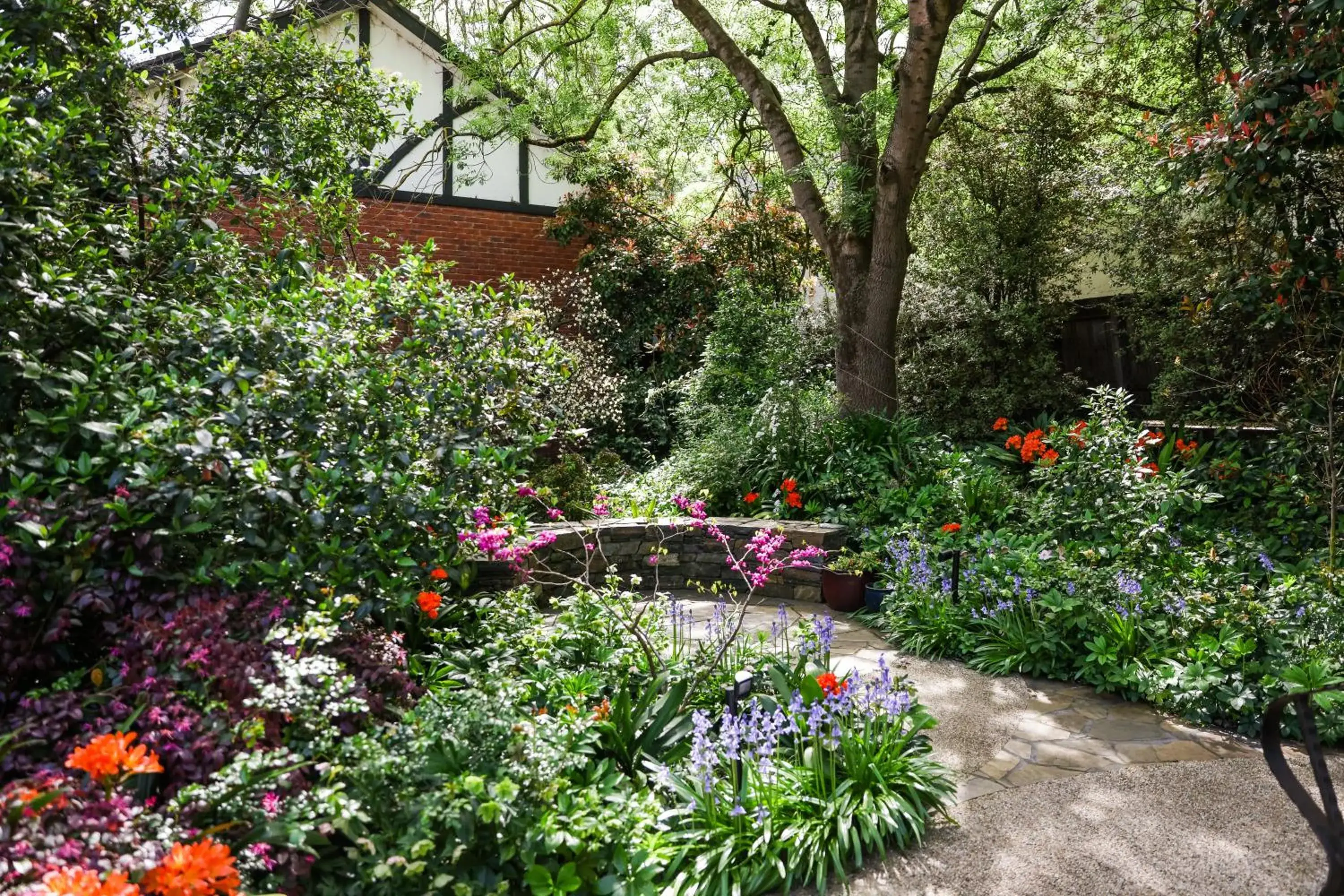 Garden in Elizabethan Lodge