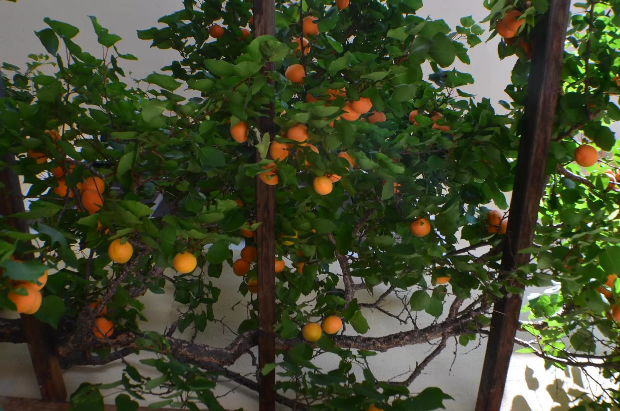 Facade/entrance in Gasthof Ginzinger