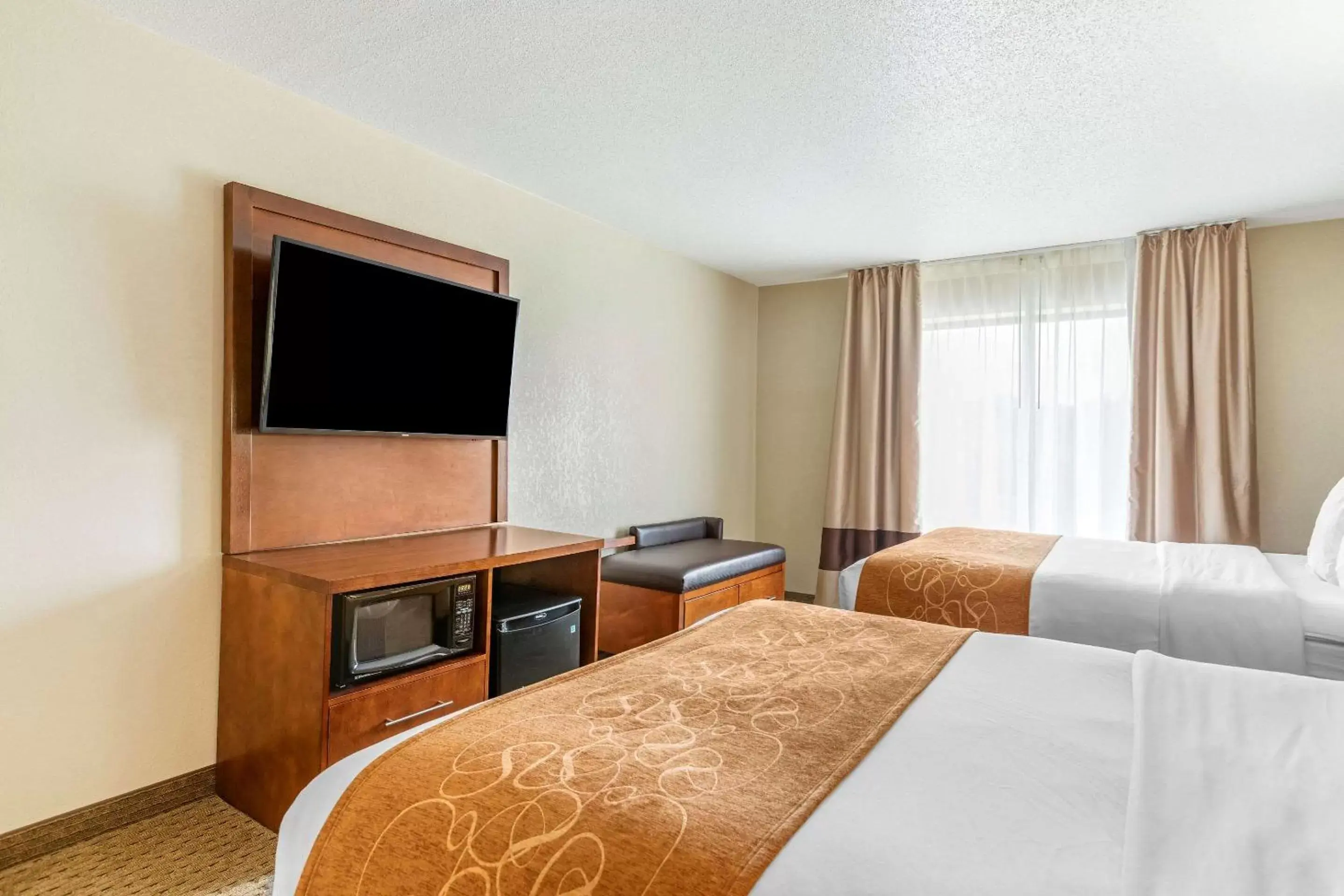 Photo of the whole room, Room Photo in Comfort Suites Grand Rapids North