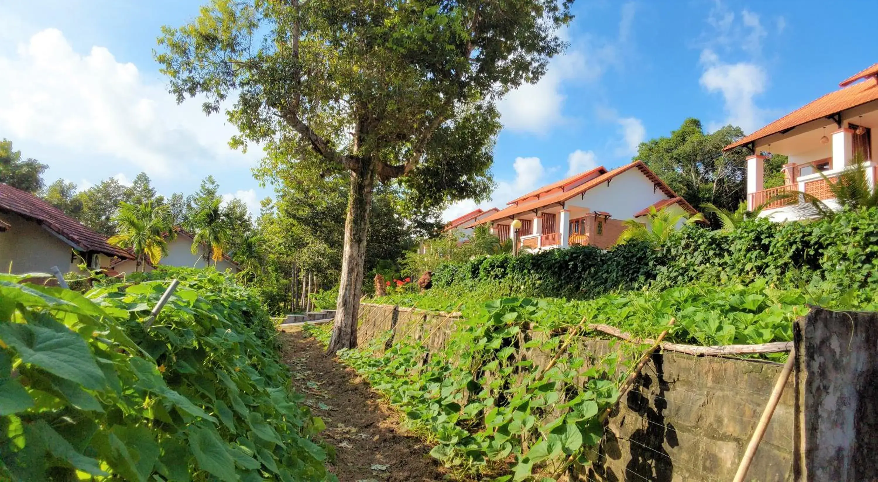 View (from property/room), Property Building in The Garden House Phu Quoc Resort