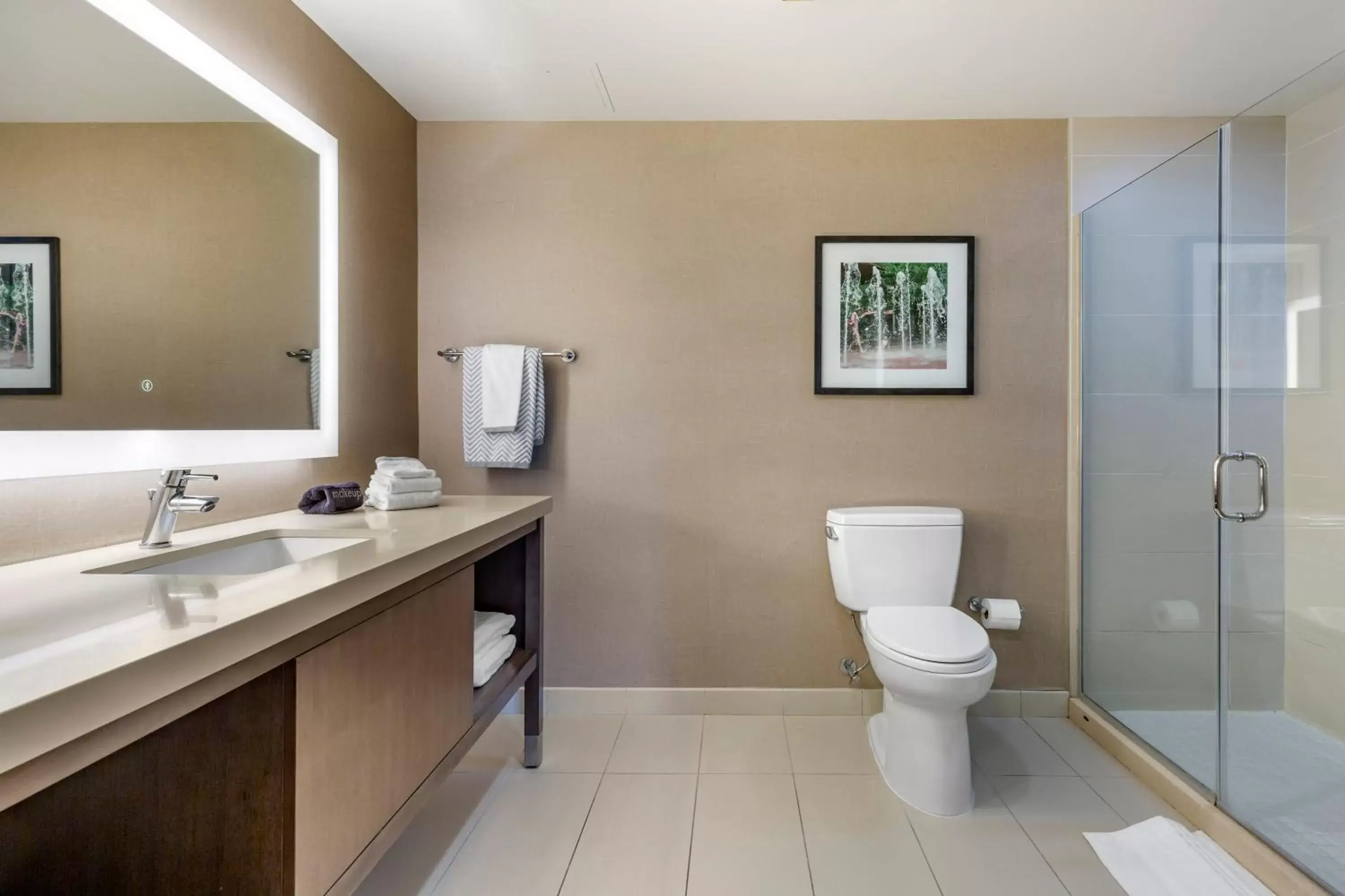 Shower, Bathroom in Cambria Hotel Rockville