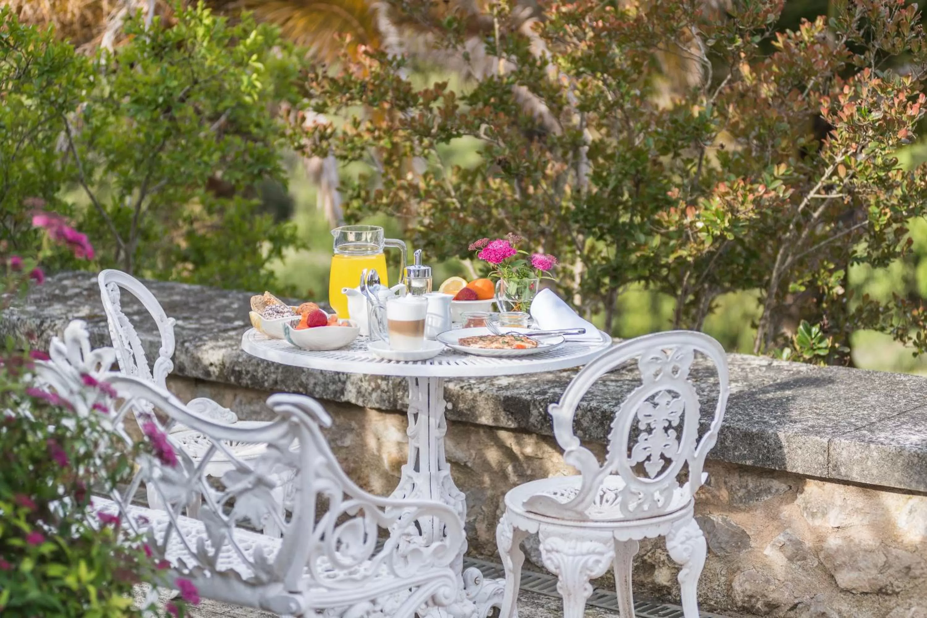 Garden in Monnàber Vell