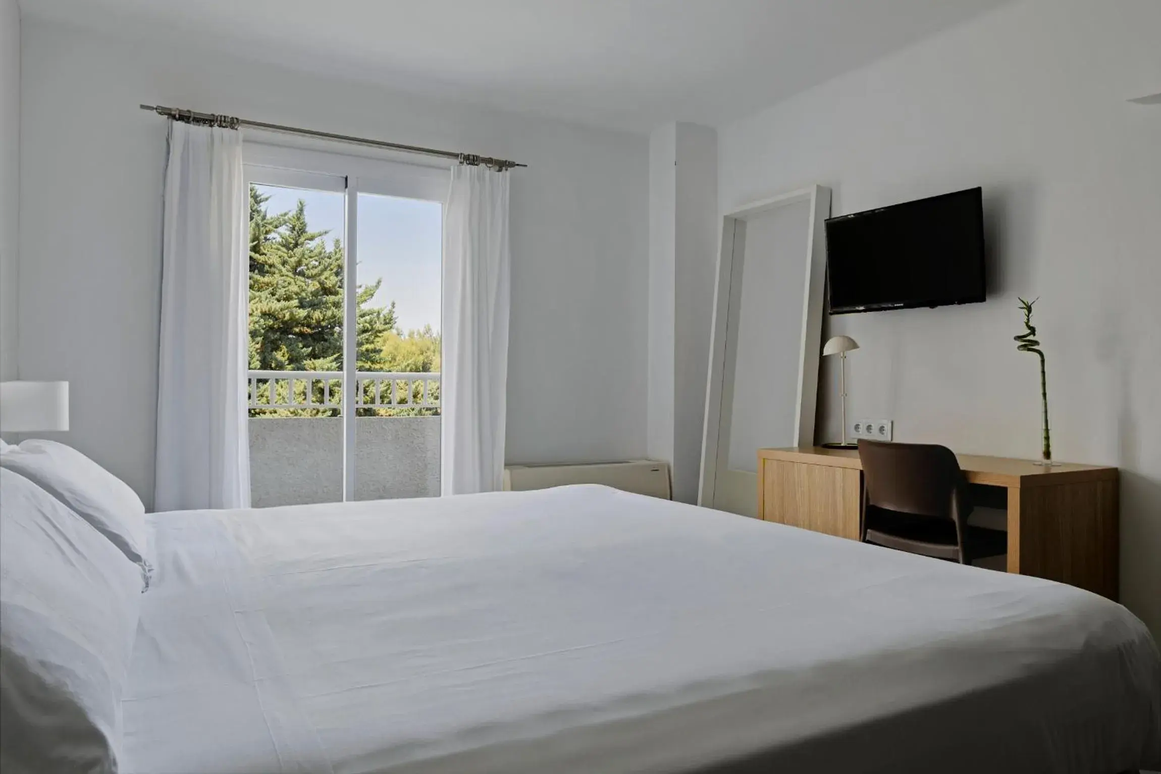 Double Room - single occupancy in Prinsotel Mal Pas - Adults Only Double Room - single occupancy in Prinsotel Mal Pas - Adults Only