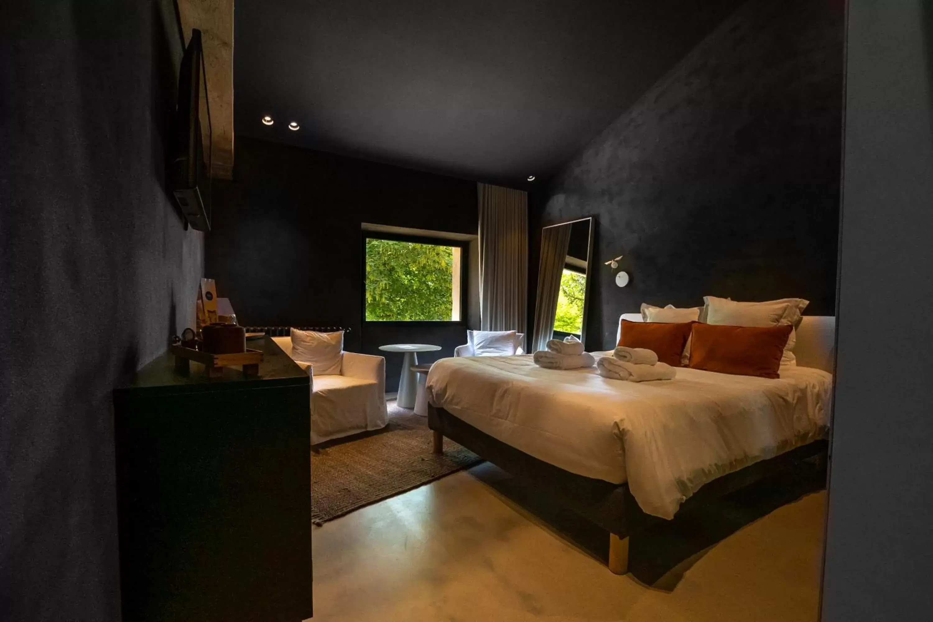 Double Room - single occupancy in La Maison des Sources Double Room - single occupancy in La Maison des Sources