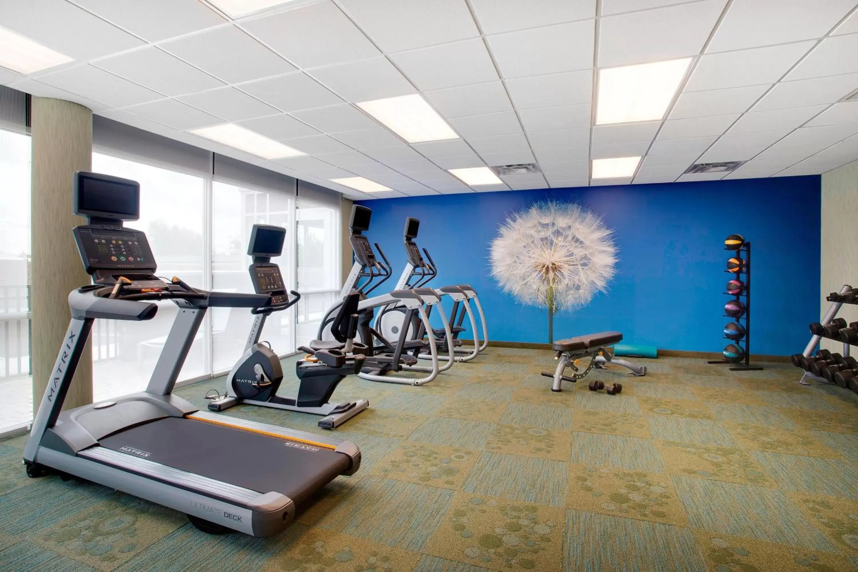 Fitness centre/facilities, Fitness Center/Facilities in SpringHill Suites by Marriott Murray