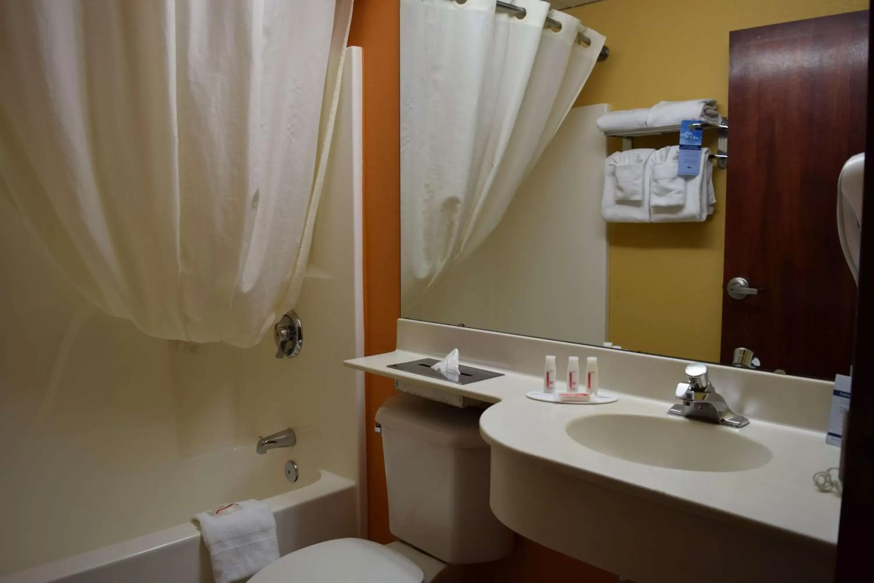 Bathroom in Microtel Inn & Suites by Wyndham Rock Hill/Charlotte Area