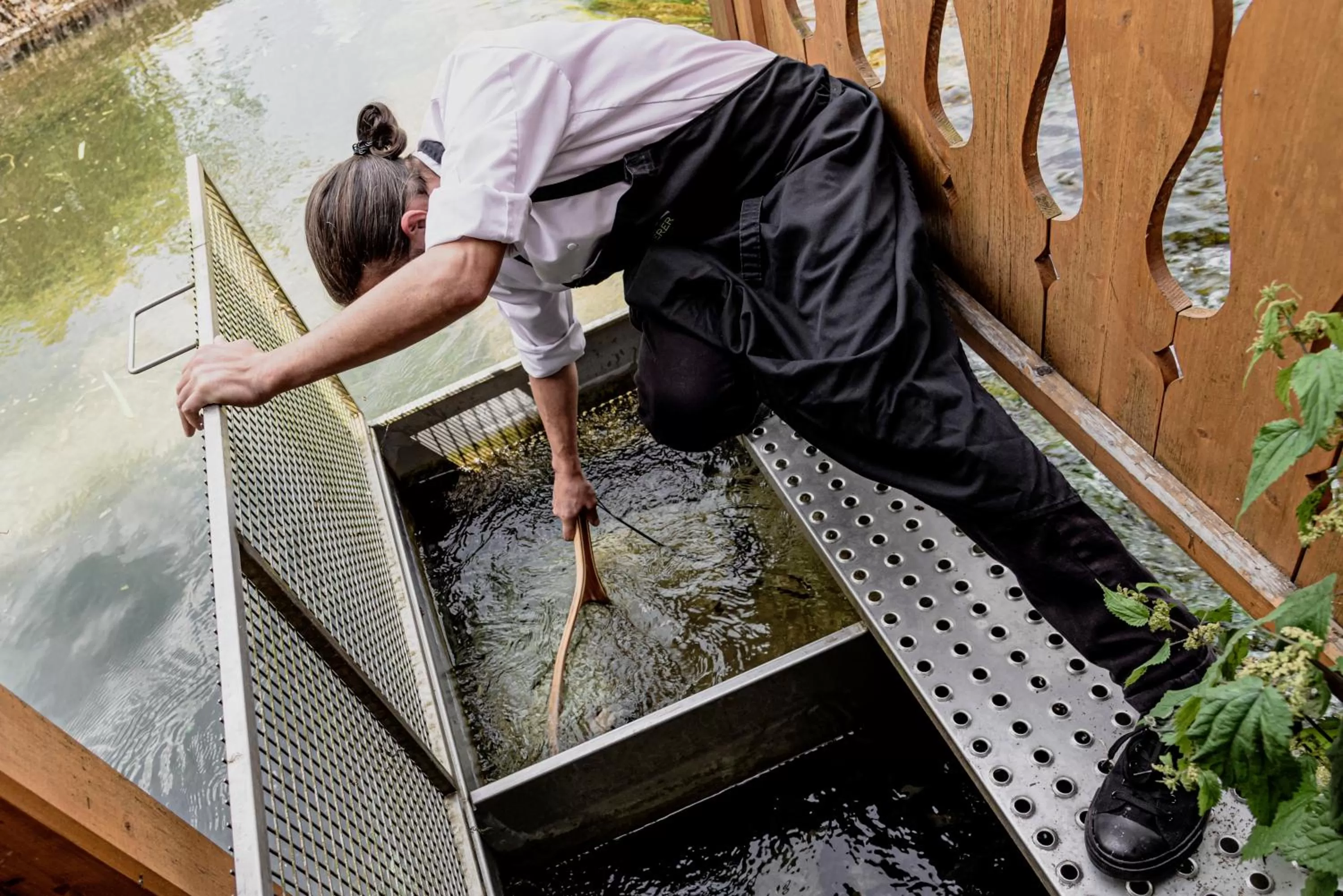 People in Wohlfühlhotel Goiserer Mühle