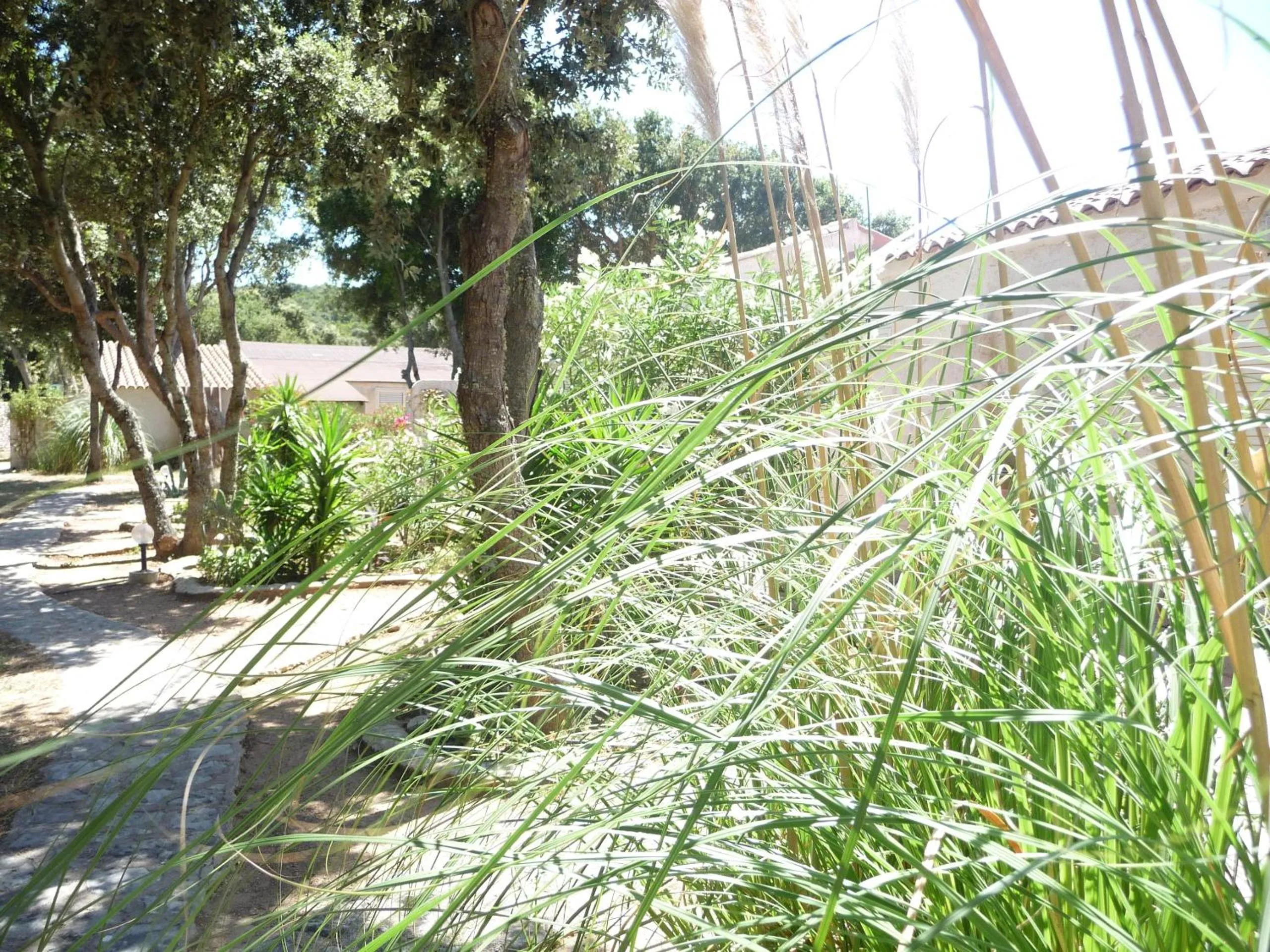 Day in Hôtel Padolo