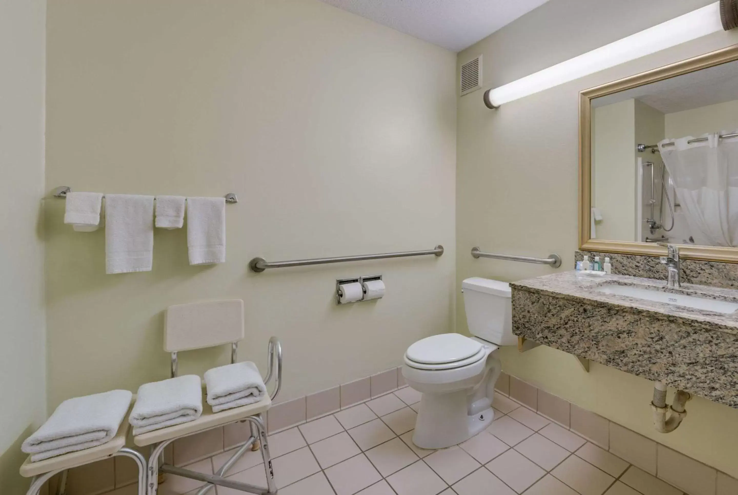 Bathroom in Quality Inn & Suites South