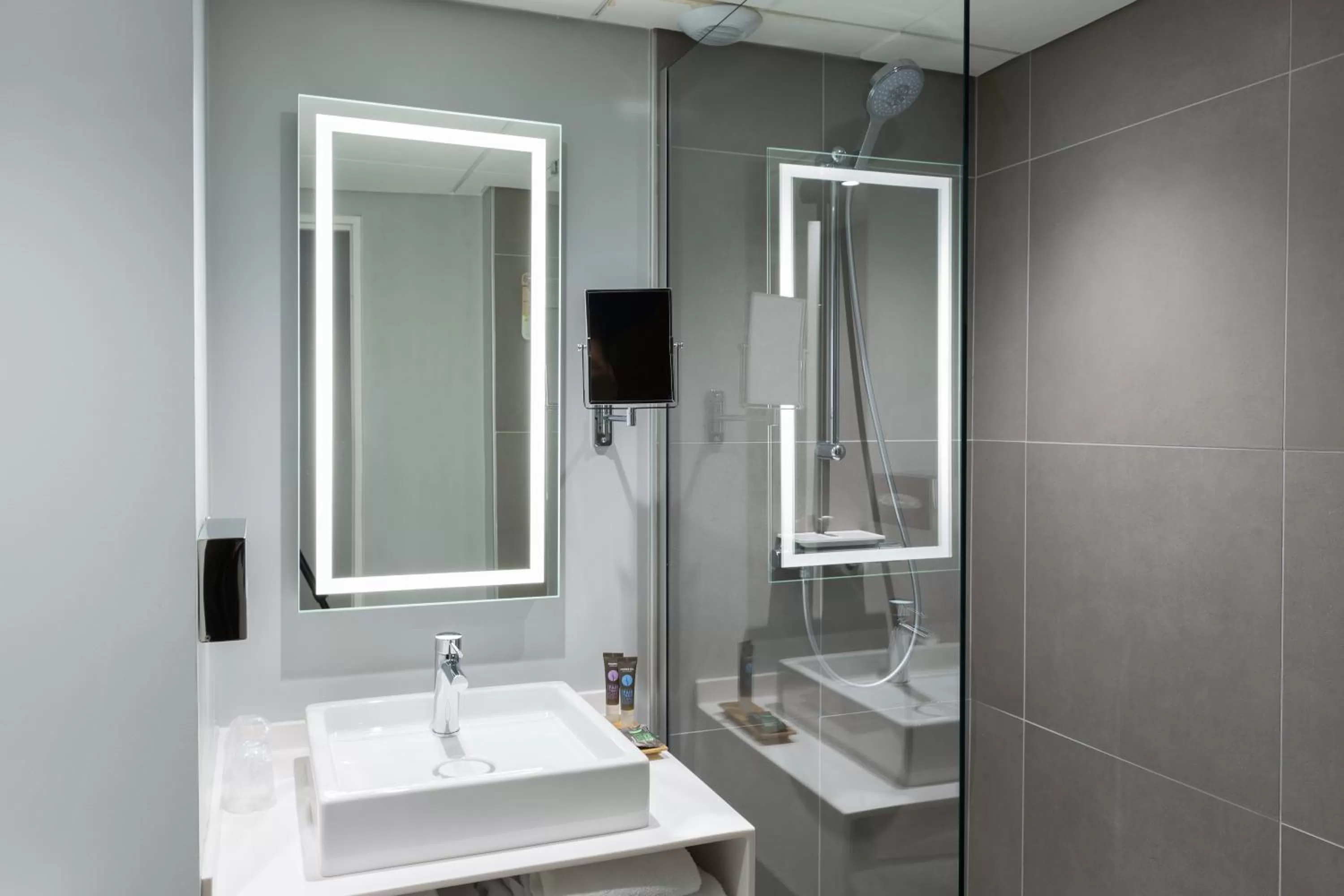 Classic Double Room with Double Sofa Bed in Novotel Poitiers Site du Futuroscope