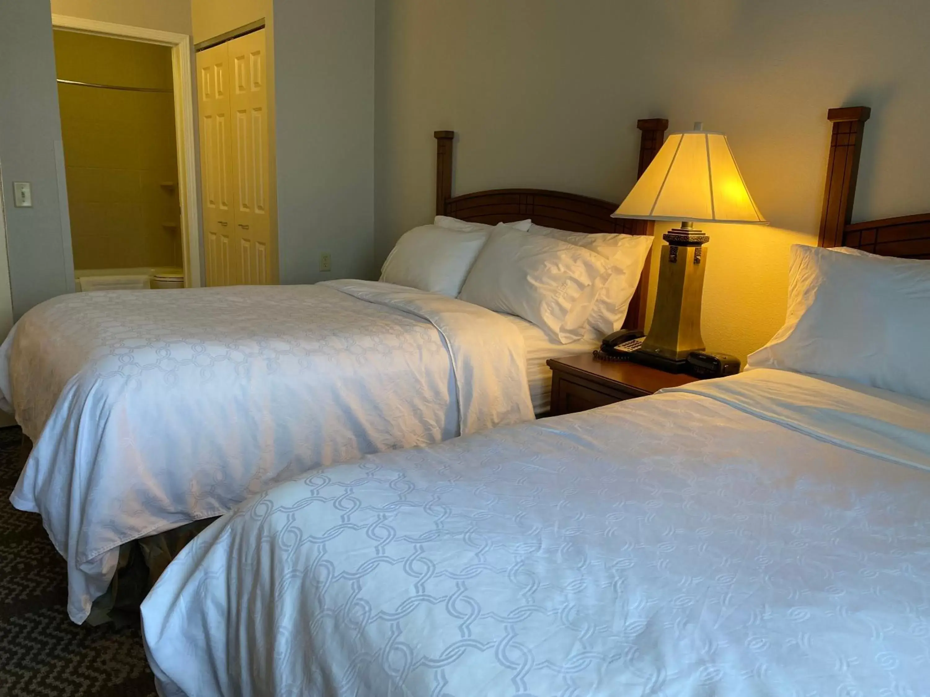 Photo of the whole room, Bed in Staybridge Suites Milwaukee West-Oconomowoc, an IHG Hotel