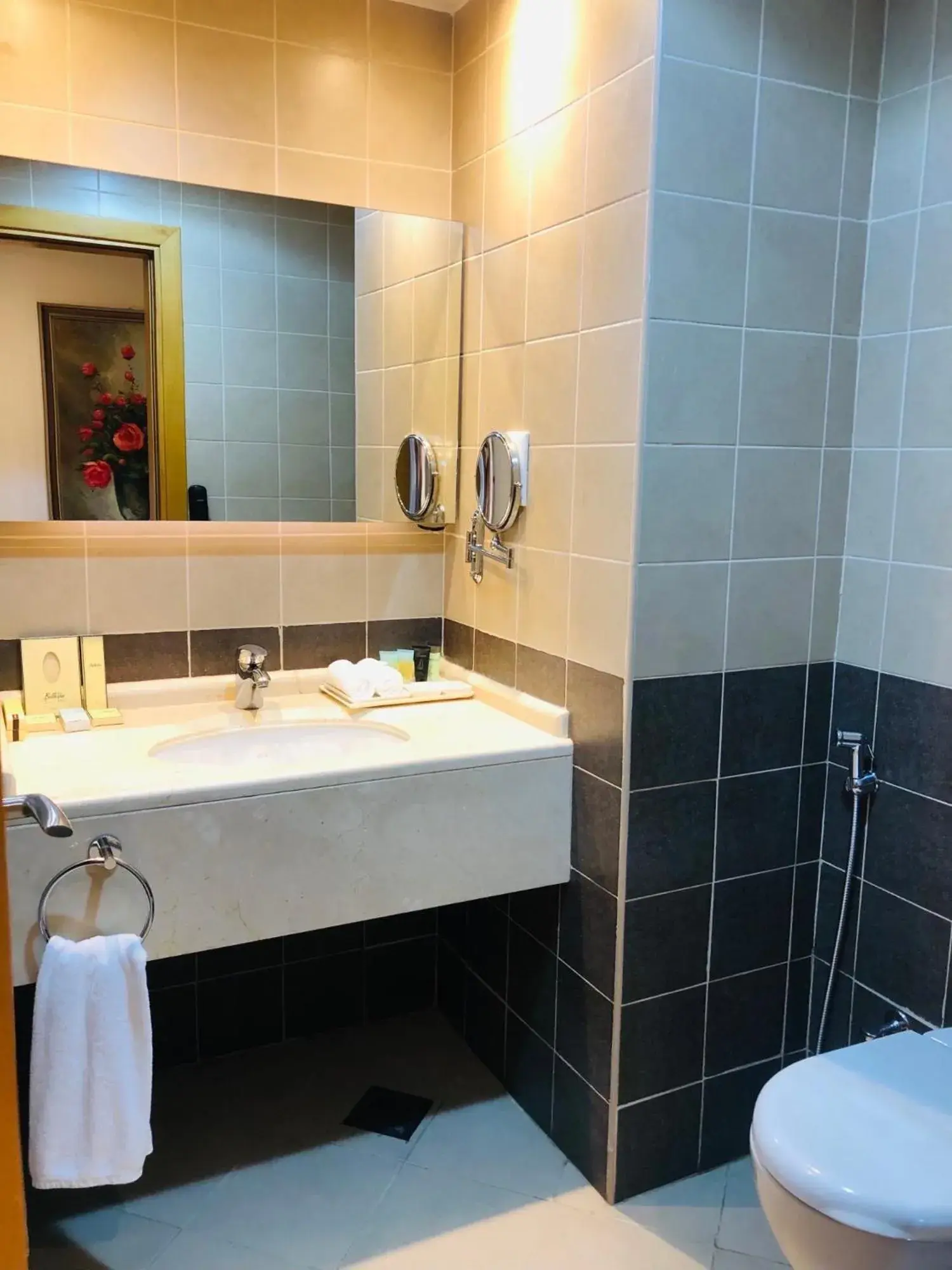 Bathroom in Grand Bellevue Hotel Apartment Dubai