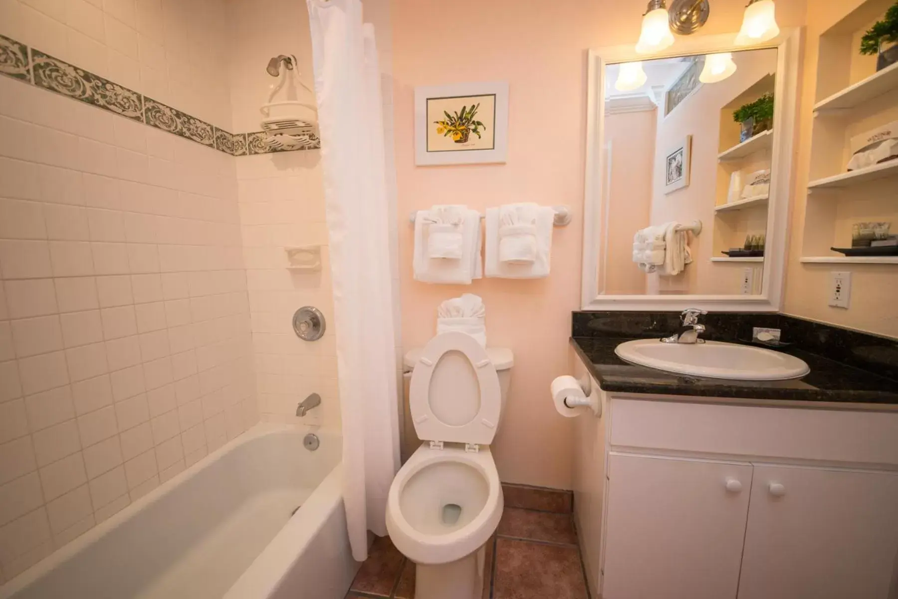 Bathroom in Tropic Isle At Anna Maria Island Inn