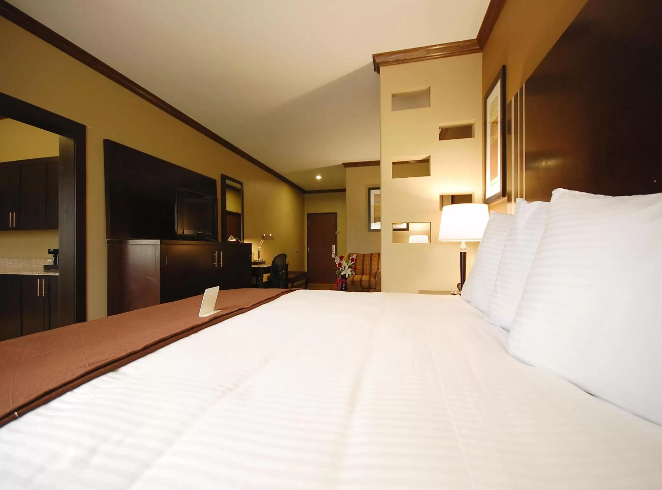 Photo of the whole room, Bed in Best Western Plus Texoma Hotel & Suites