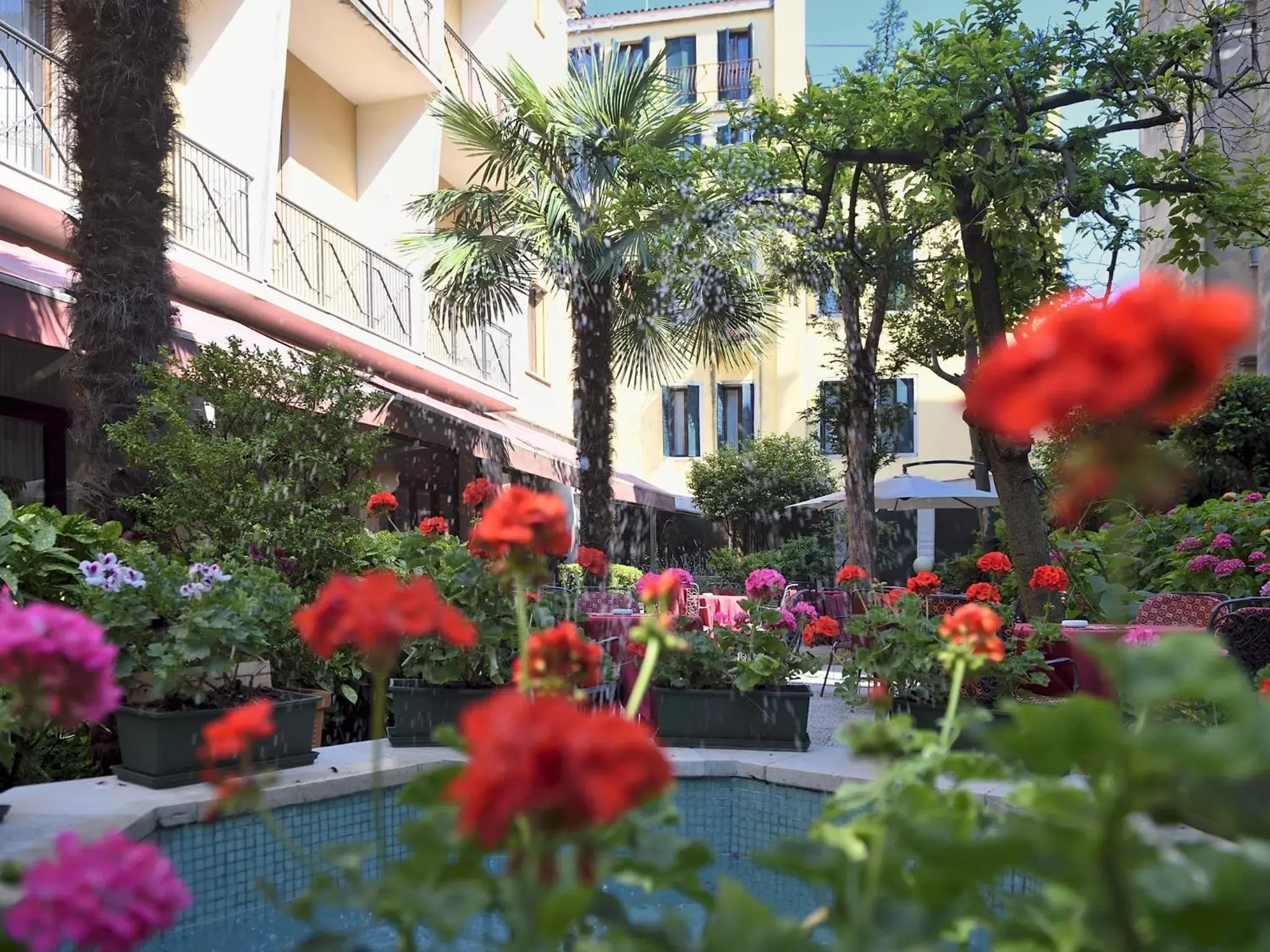 Garden, Property Building in Hotel Amadeus