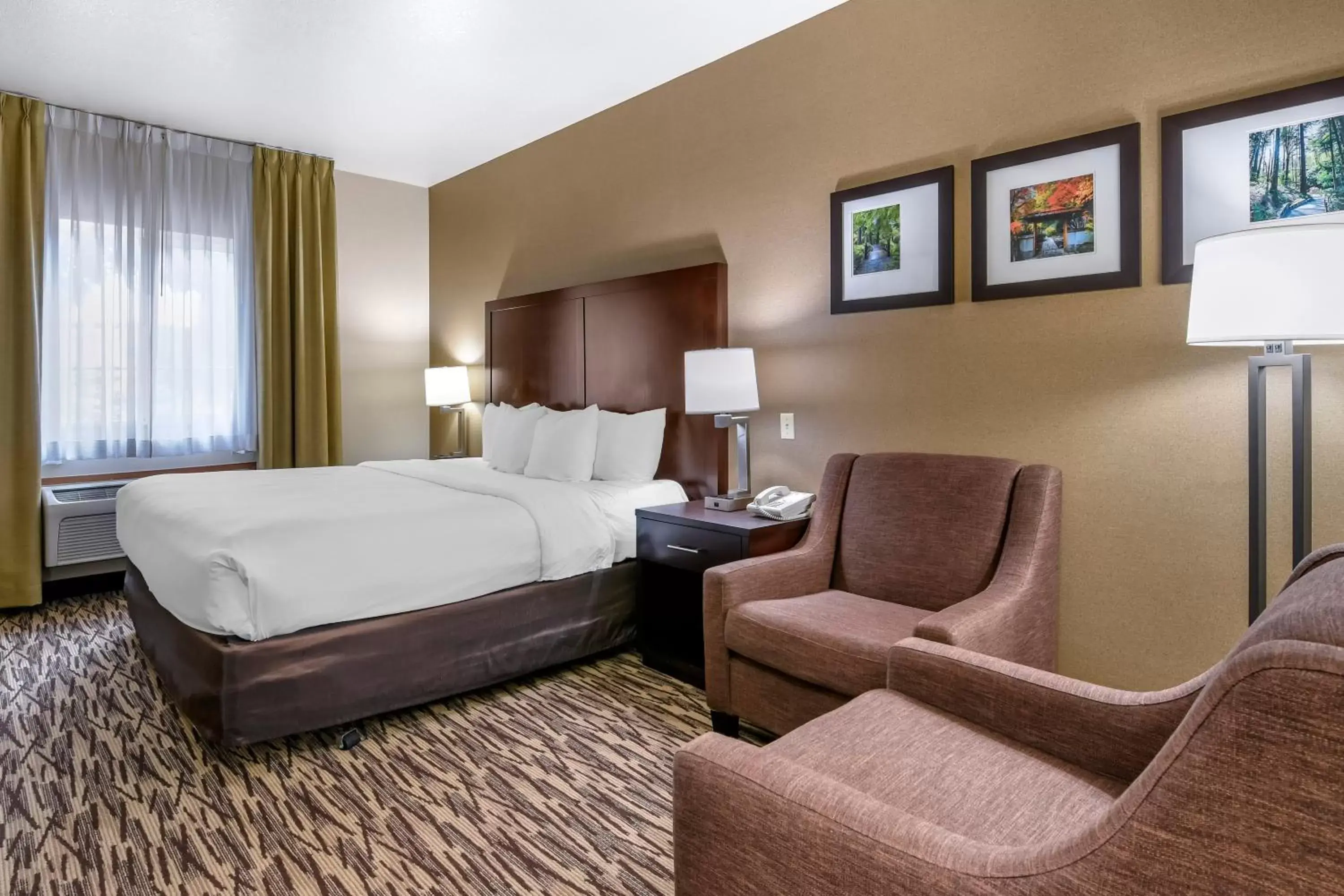 Photo of the whole room in Comfort Suites Portland Airport