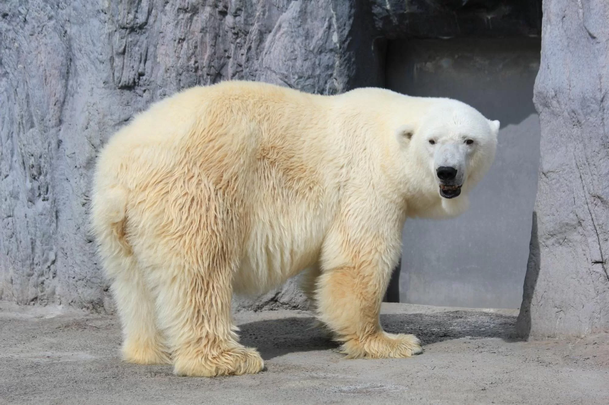 Nearby landmark in Tabist THE GREEN ASAHIKAWA