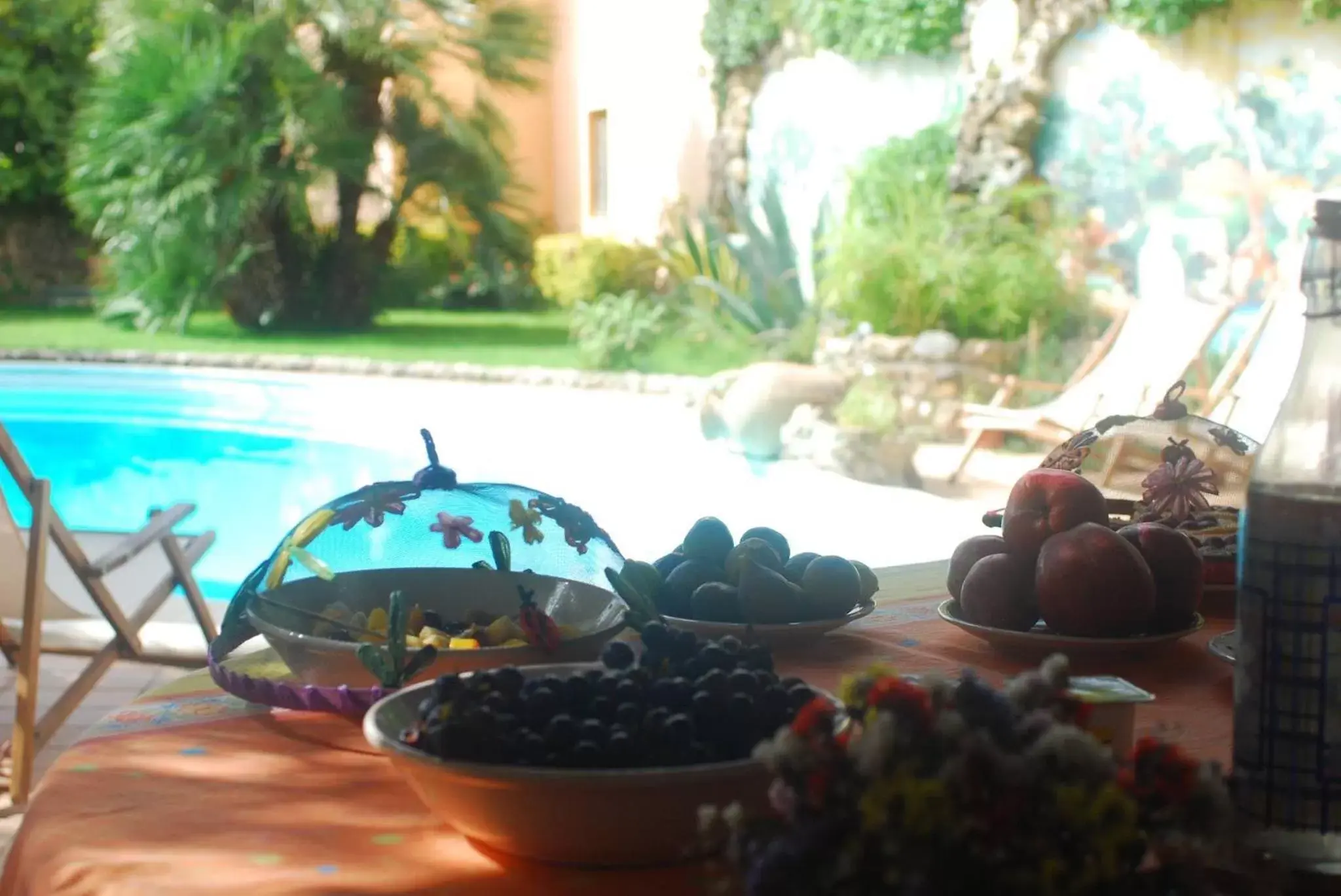 Garden, Swimming Pool in Palazzo Conforti Tree House Resort