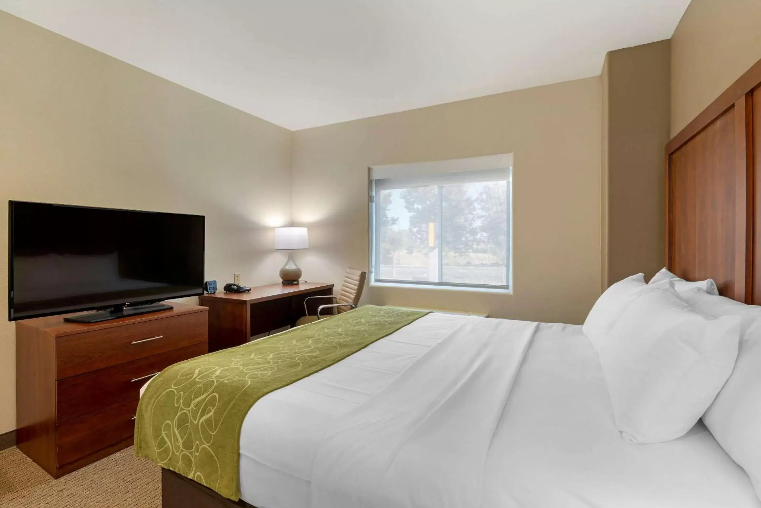 Photo of the whole room, Bed in Comfort Suites Marysville-Yuba City