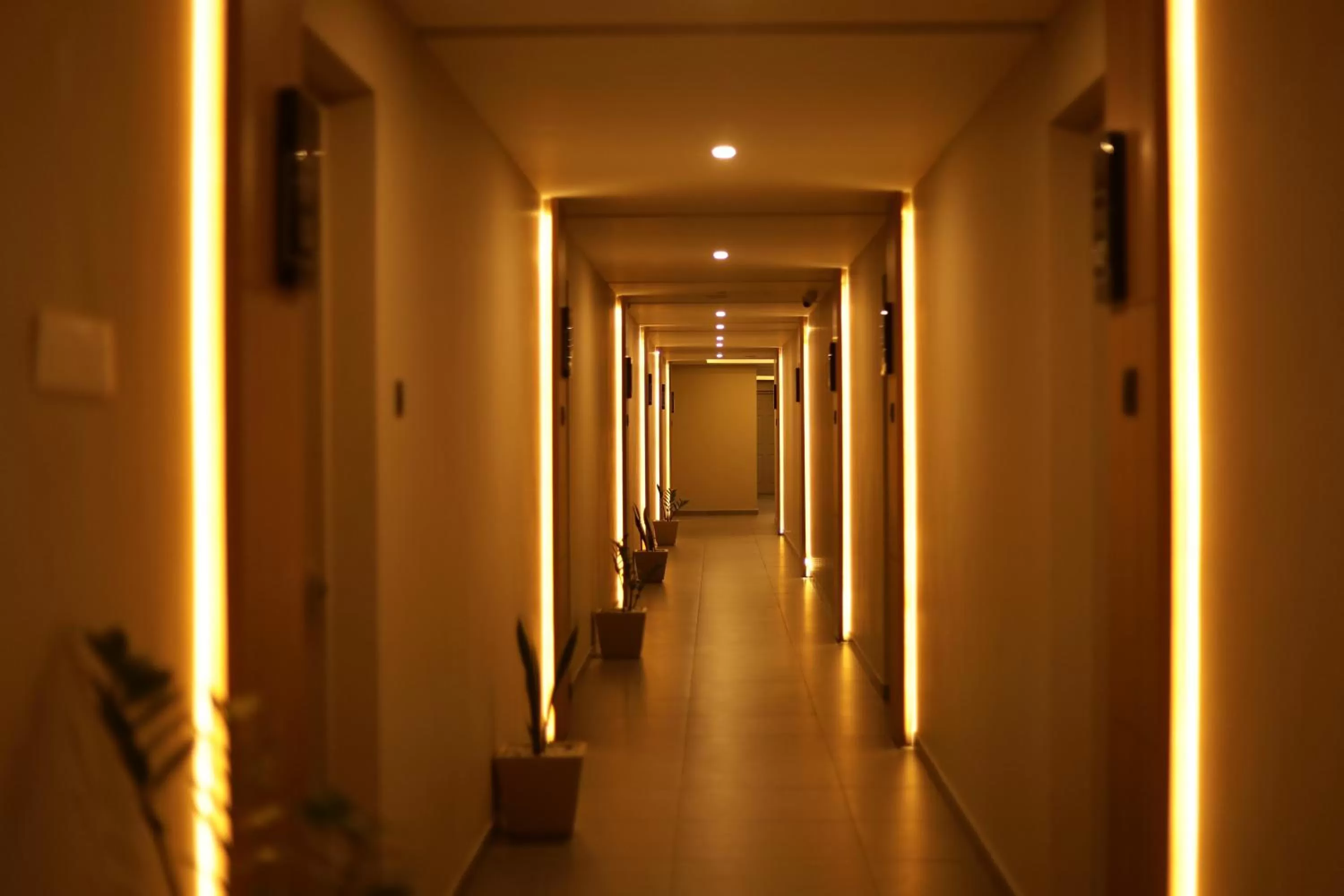 Noor jehan's Grand Noor