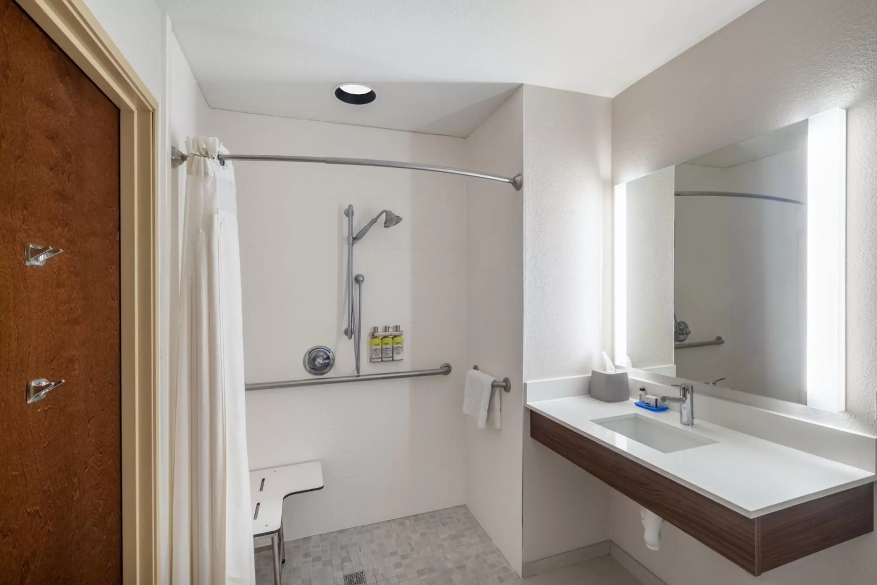 Bathroom in Holiday Inn Express Hotel & Suites Talladega, an IHG Hotel