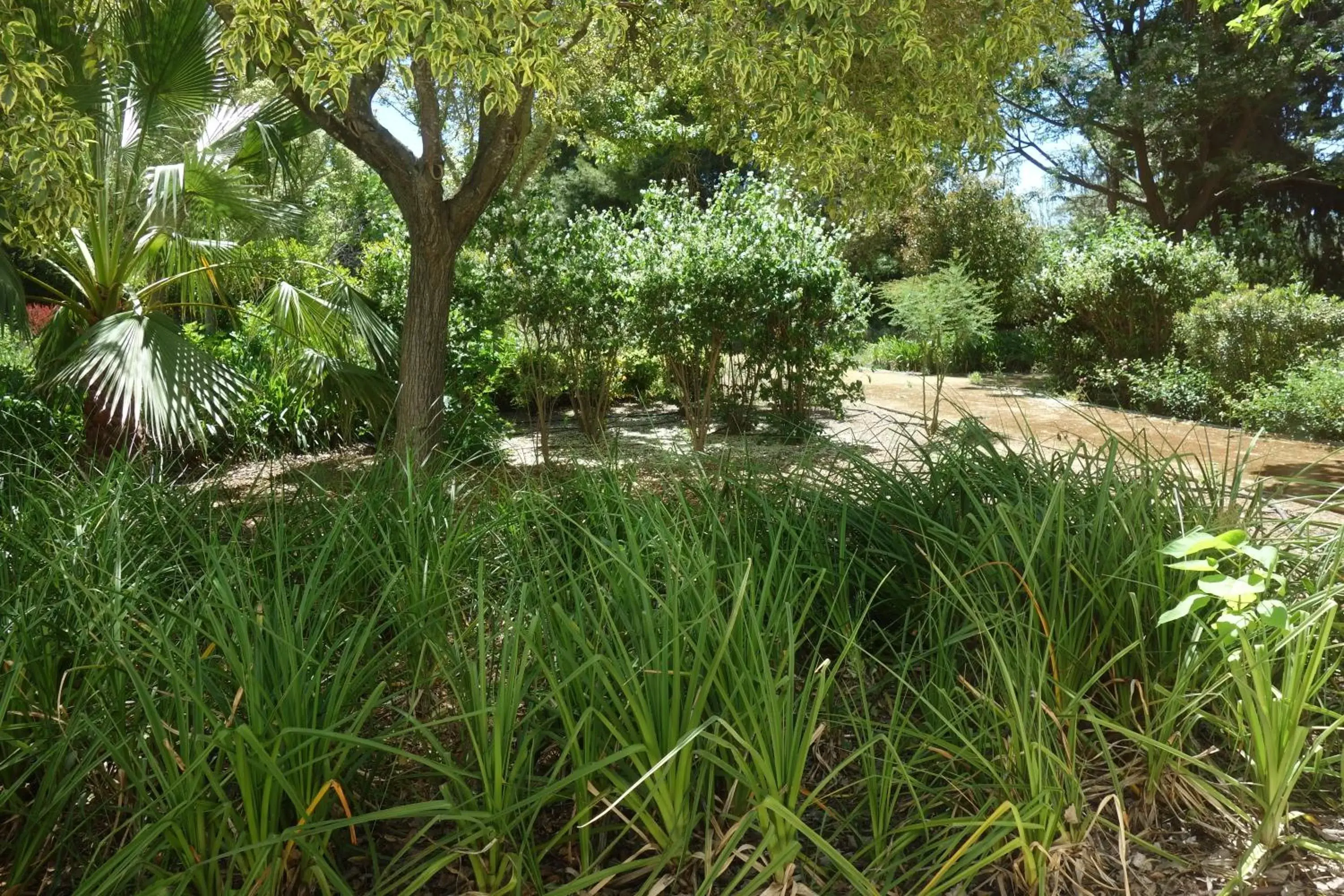 Garden in Parador de Antequera