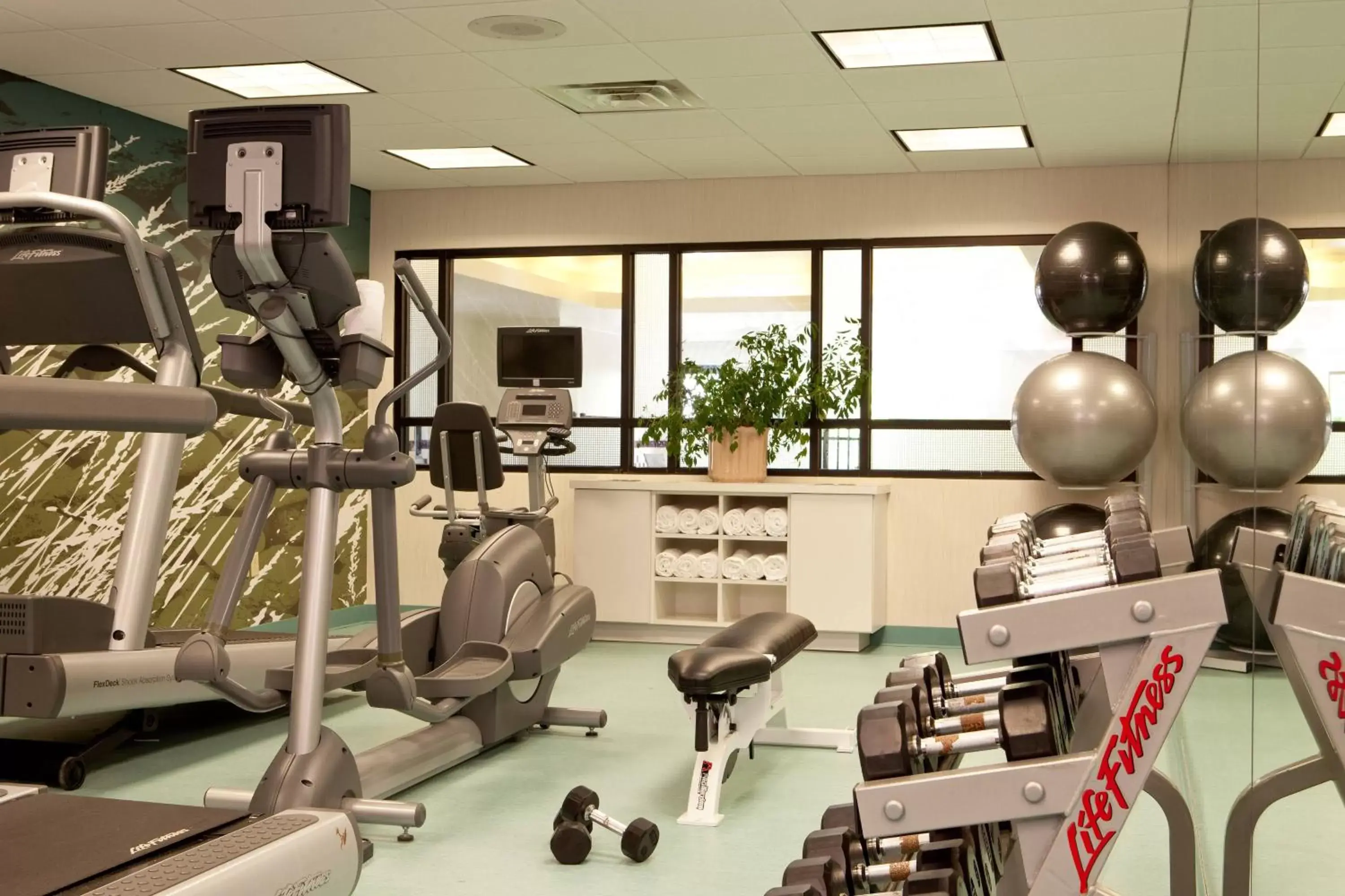Fitness centre/facilities, Fitness Center/Facilities in SpringHill Suites by Marriott Tarrytown Westchester County