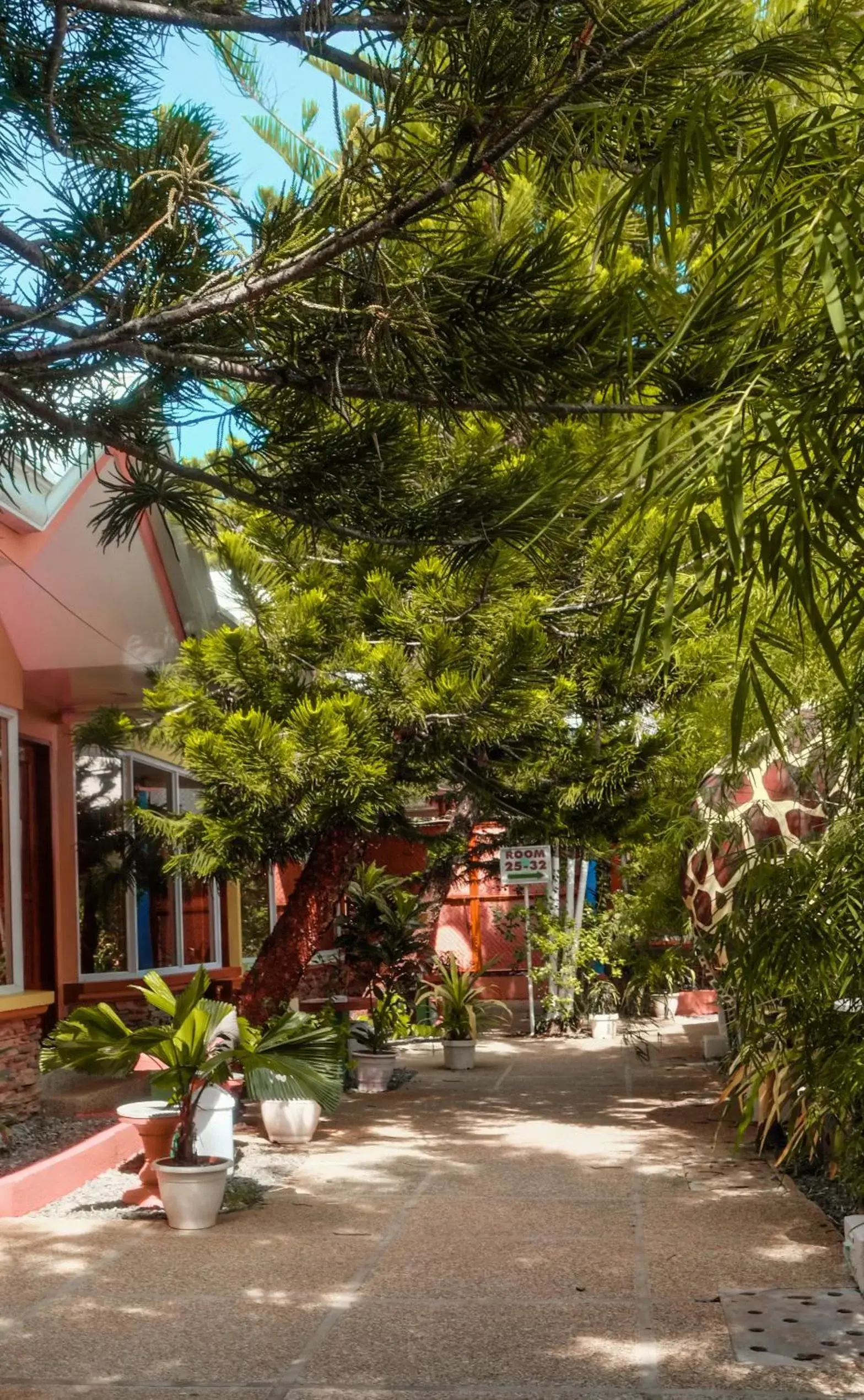 Garden in Deep Forest Garden Hotel