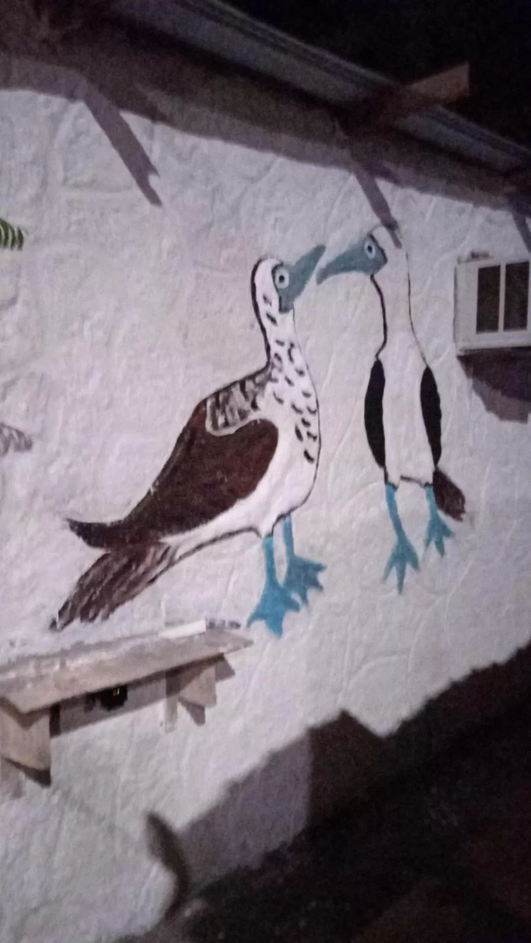 Hostal Cabañas Don Jorge