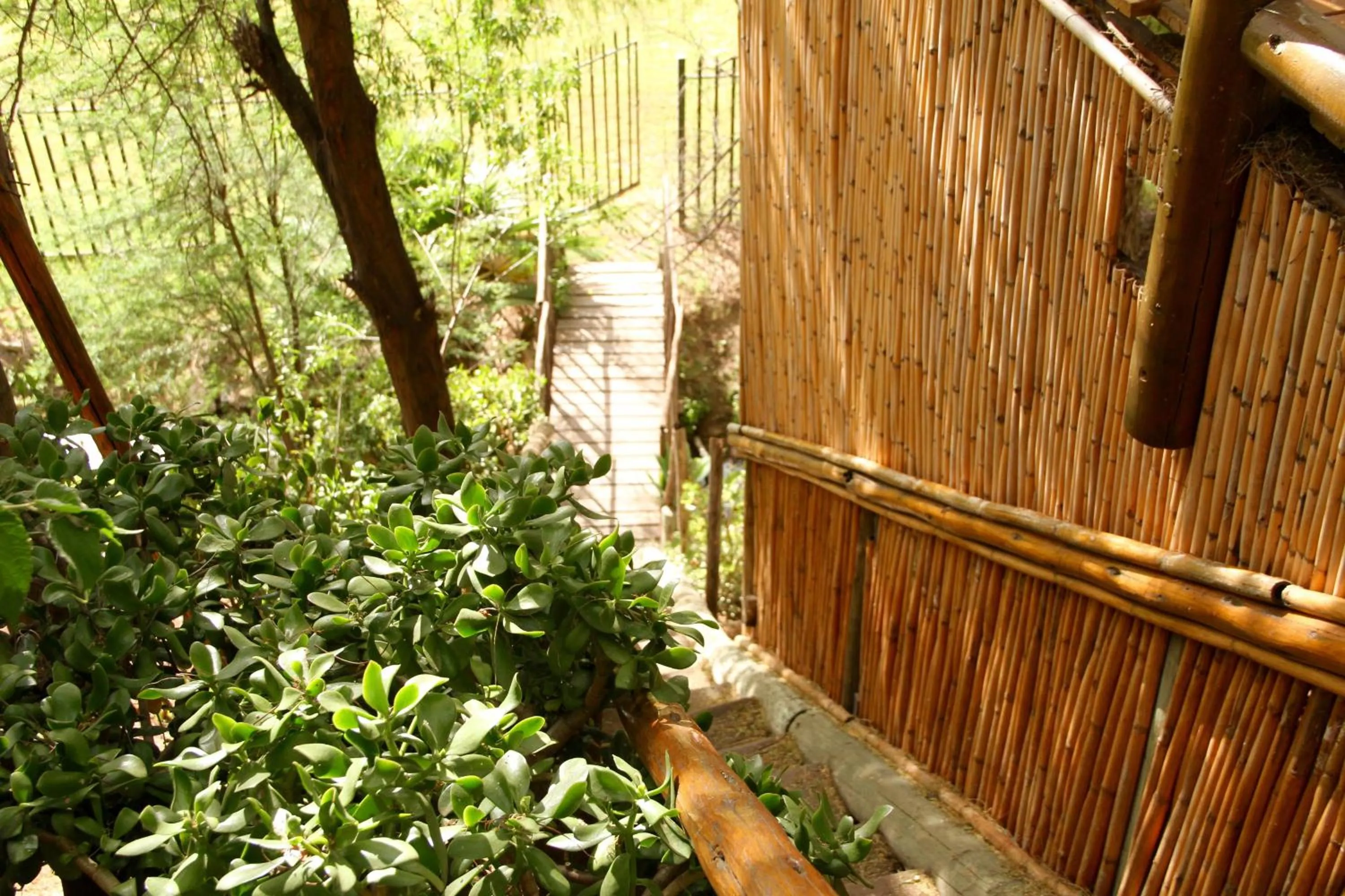 Garden in Riverside Guest Lodge