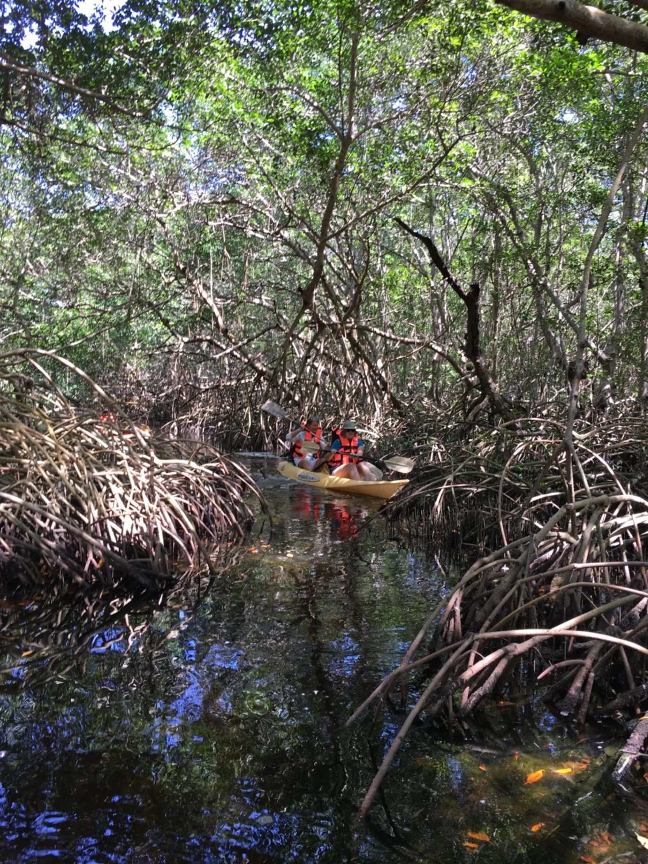 Activities in Mangrove King Fishing Lodge