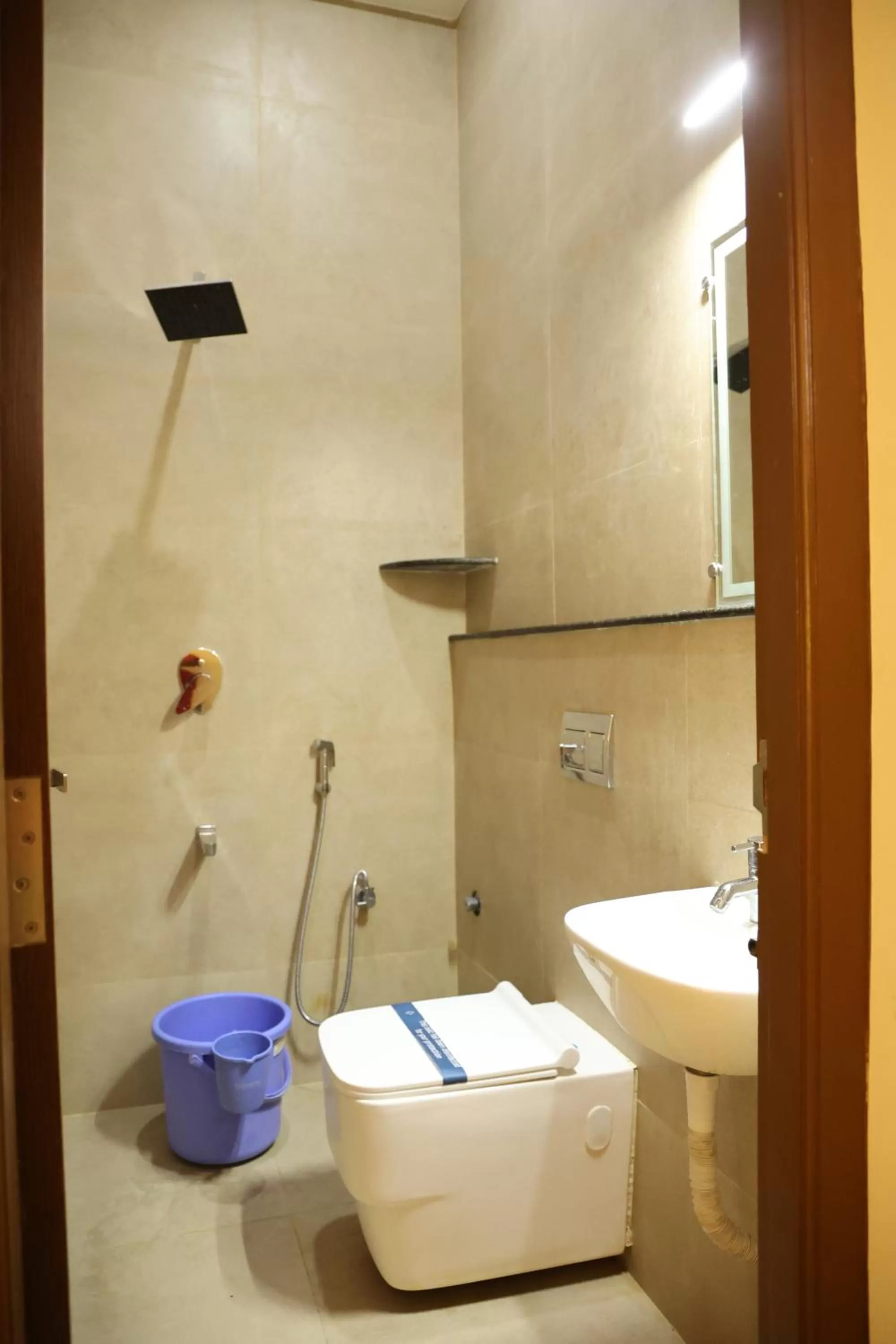 Shower in Hotel Amoha