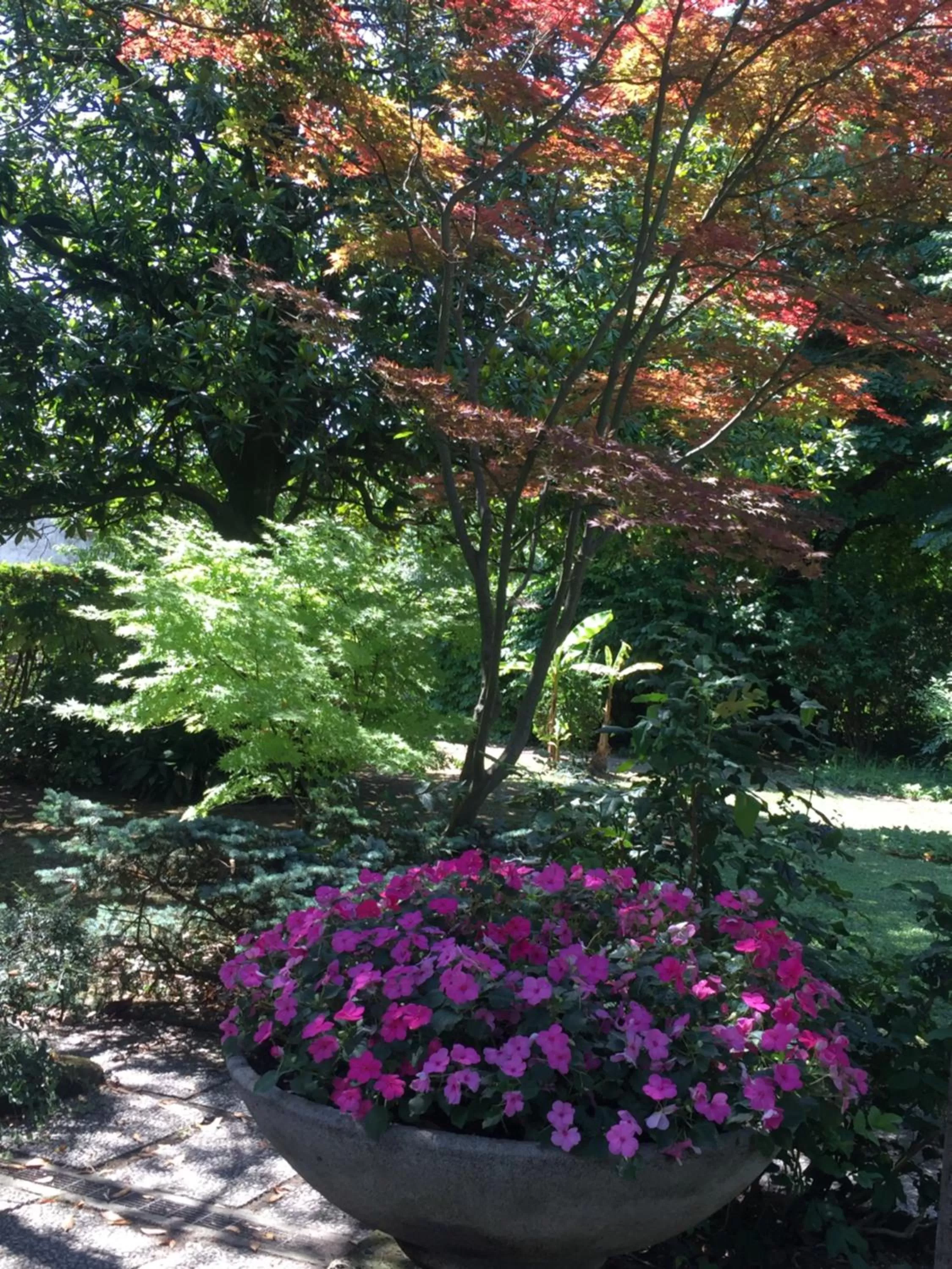 Garden in Corte Posta B&B