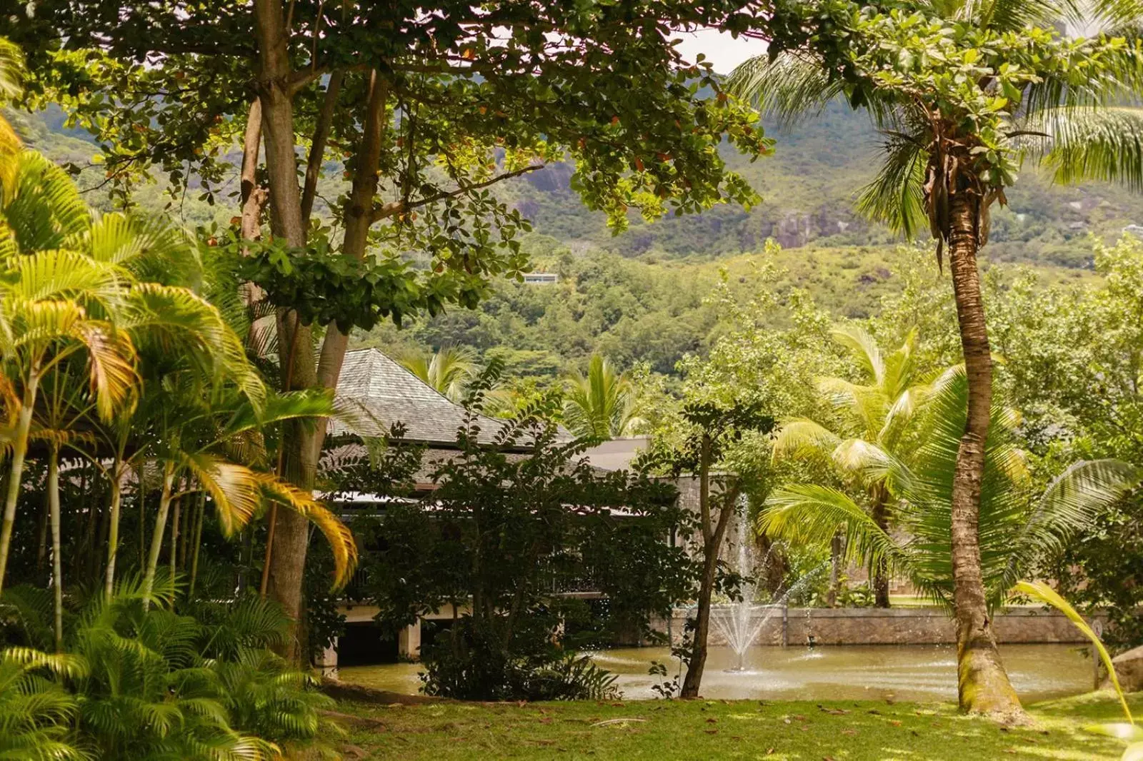 Restaurant/places to eat, Garden in STORY Seychelles