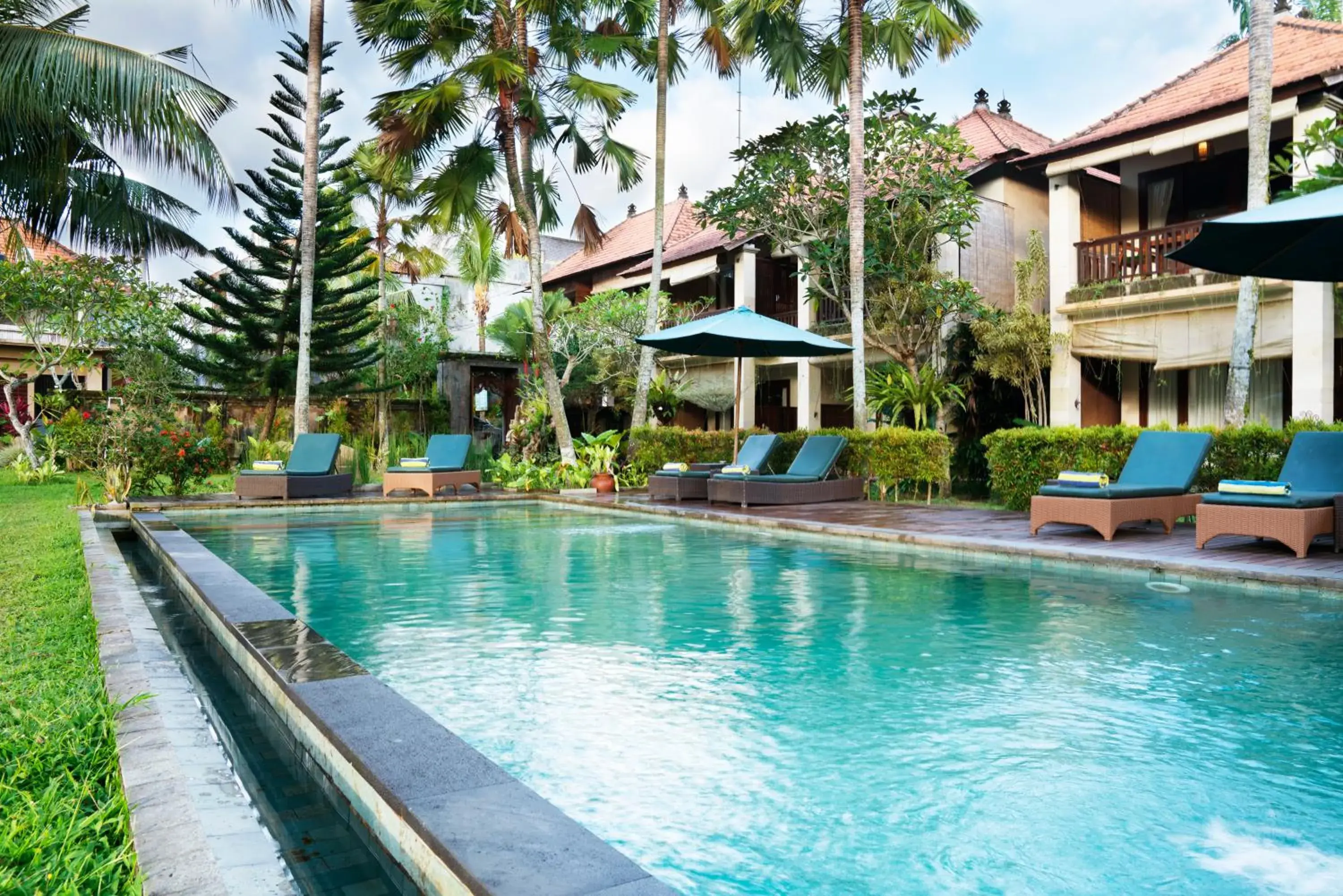 Pool view, Swimming Pool in Ubud Tropical Garden