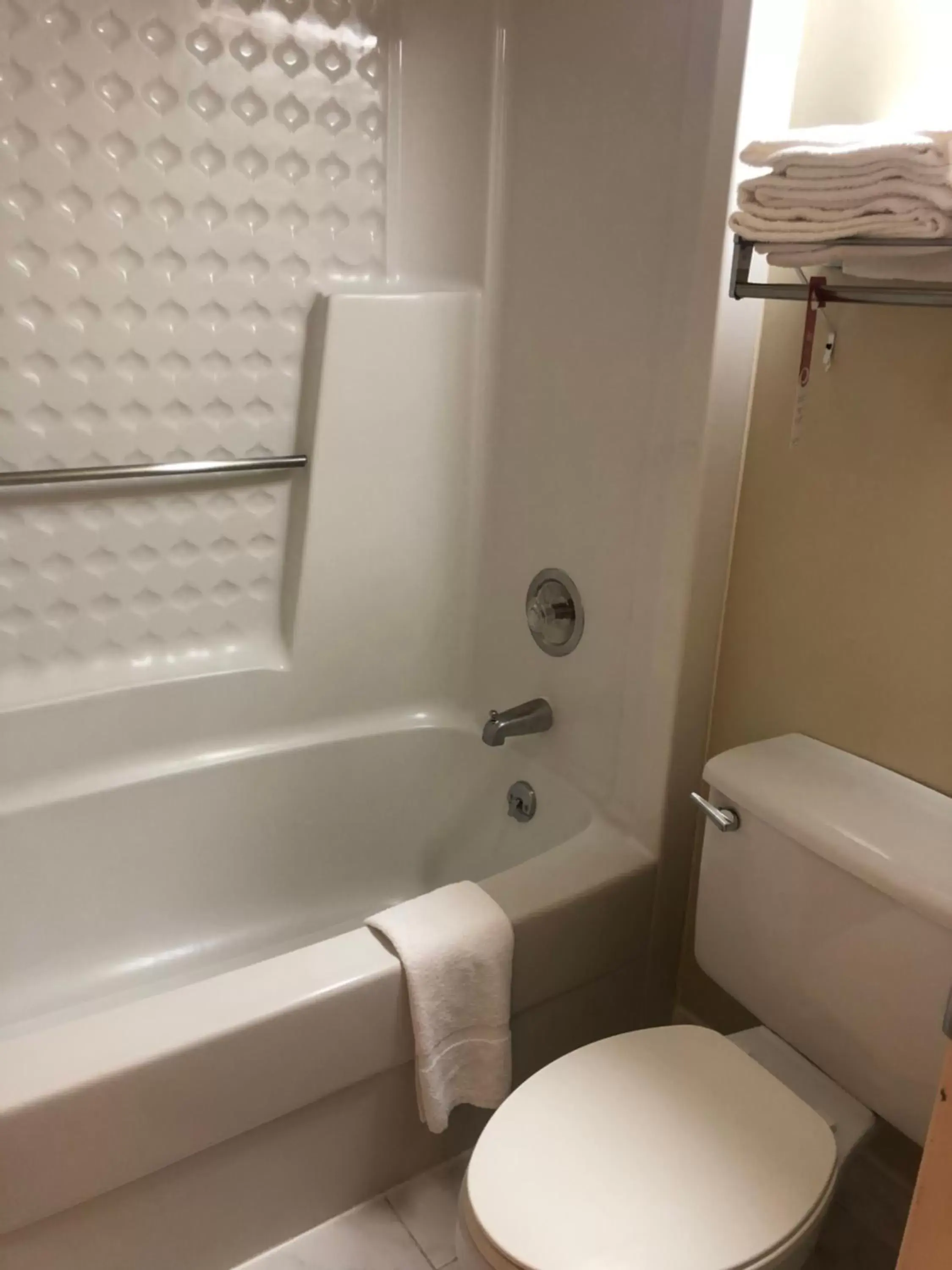 Bath, Bathroom in Econo Lodge Metro