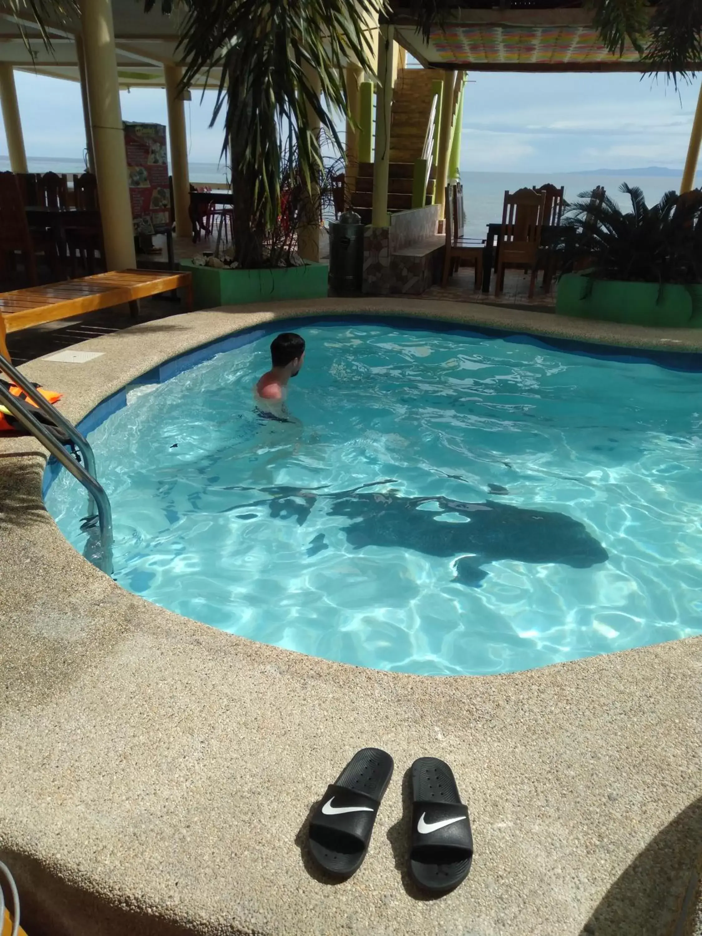 Pool view, Swimming Pool in Sascha's Resort Oslob